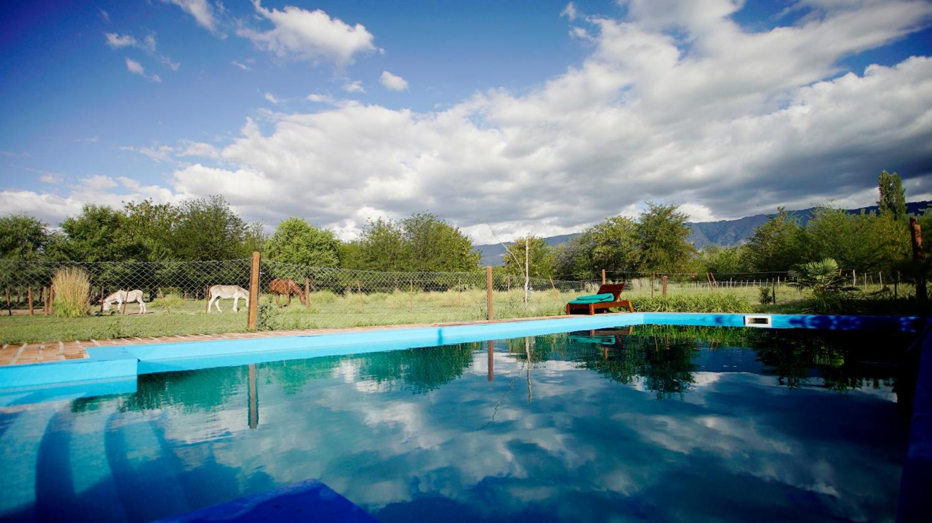 Granja El Aromo