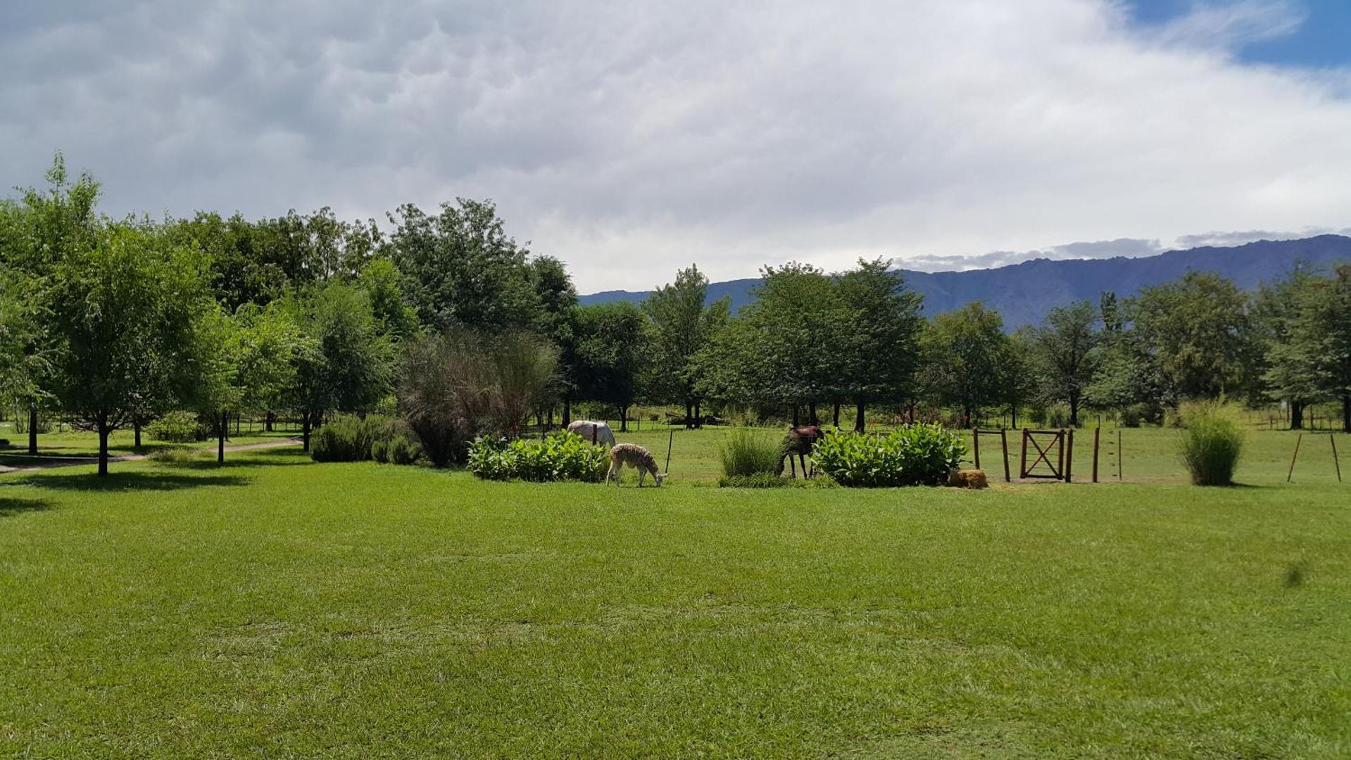 Granja El Aromo