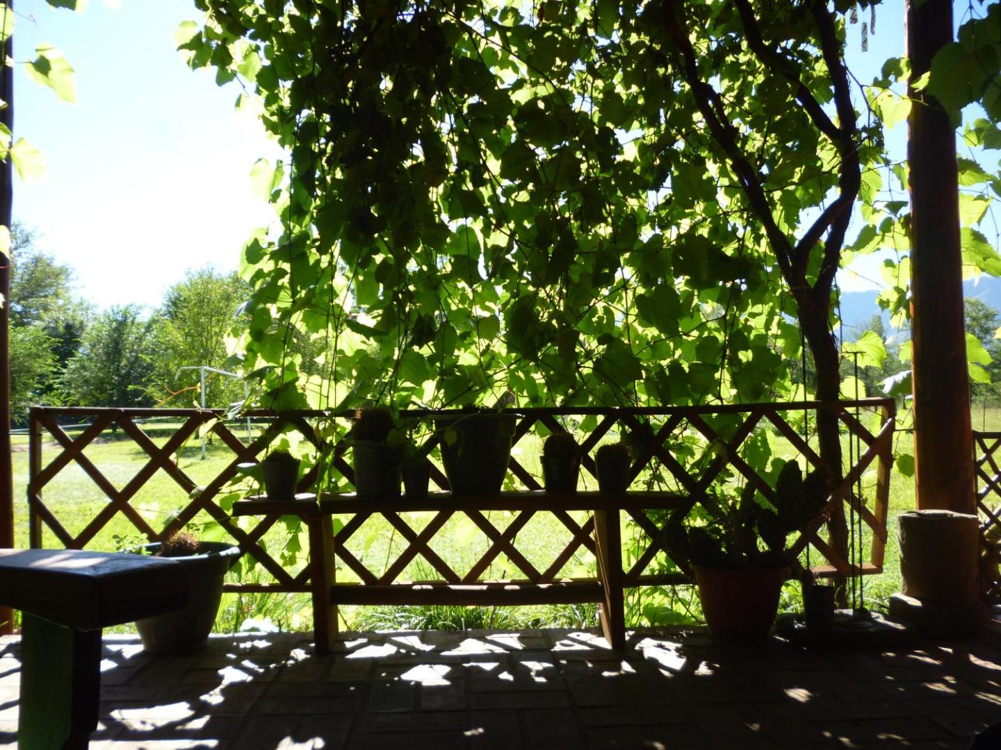 Granja El Aromo