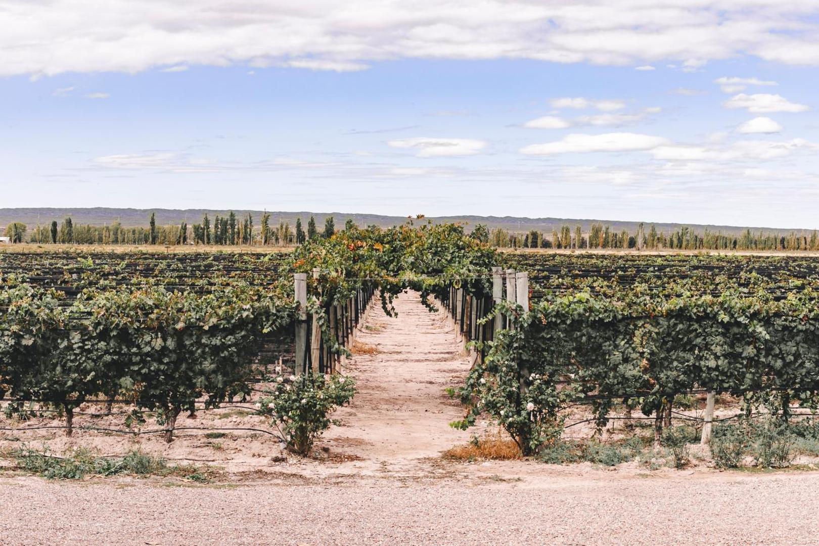 Enlace Casa de Huespedes