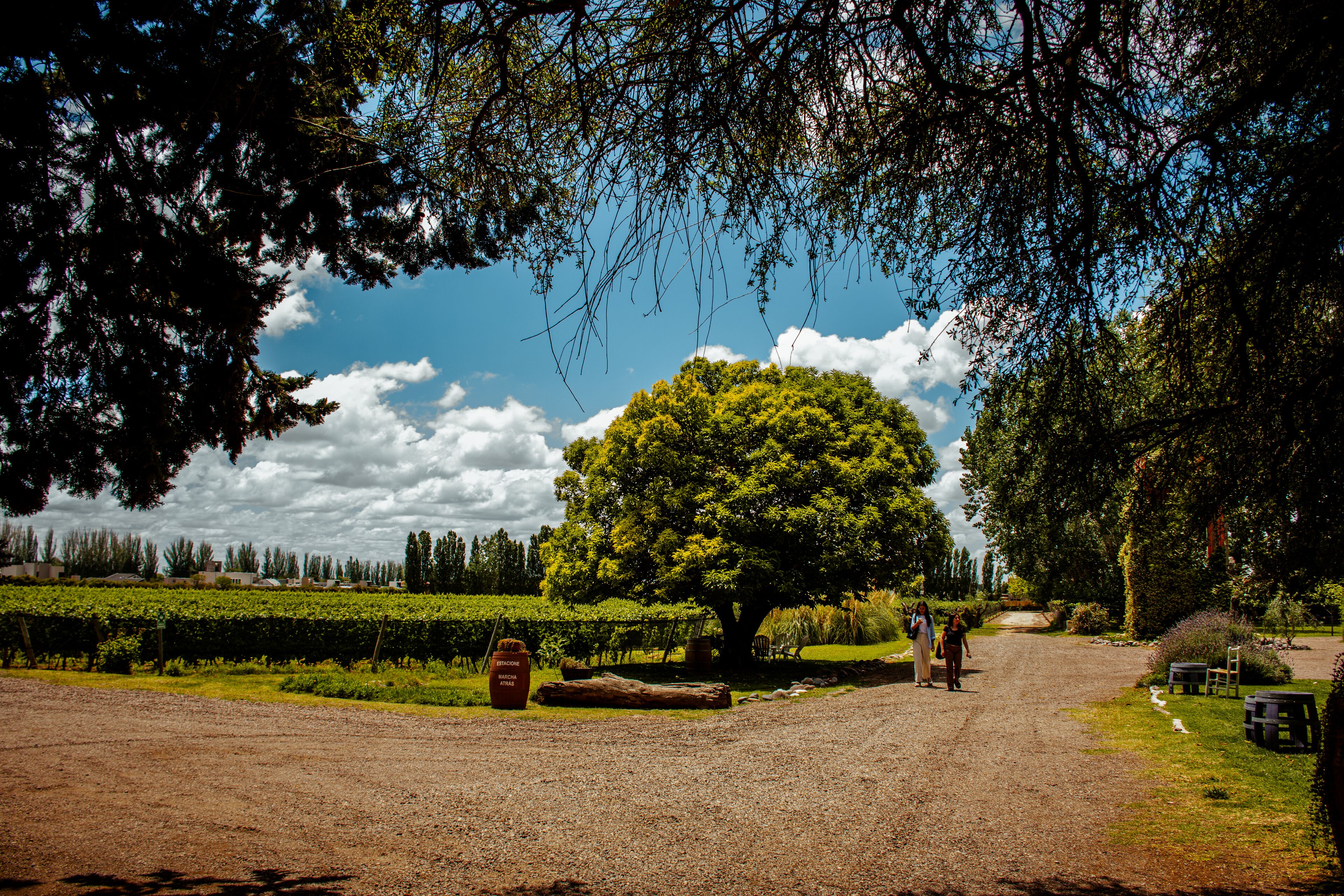 Lodwine Lodges