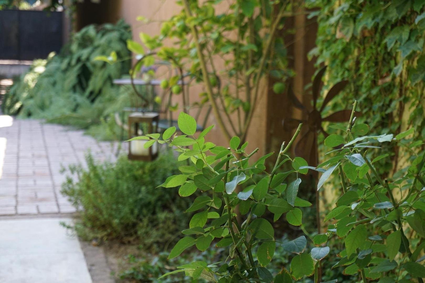 Casa Lila Bed & Breakfast