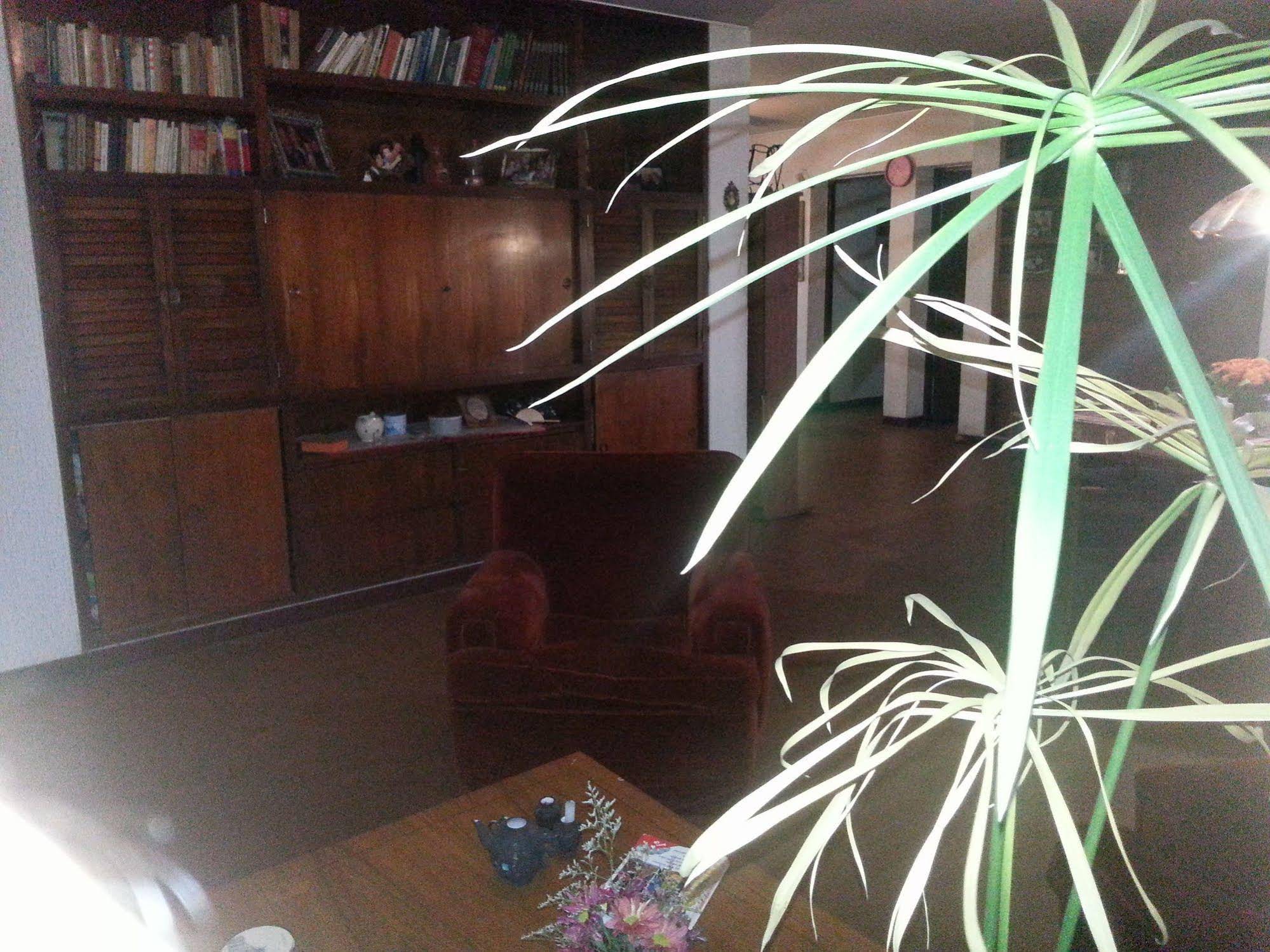 Mi Casa