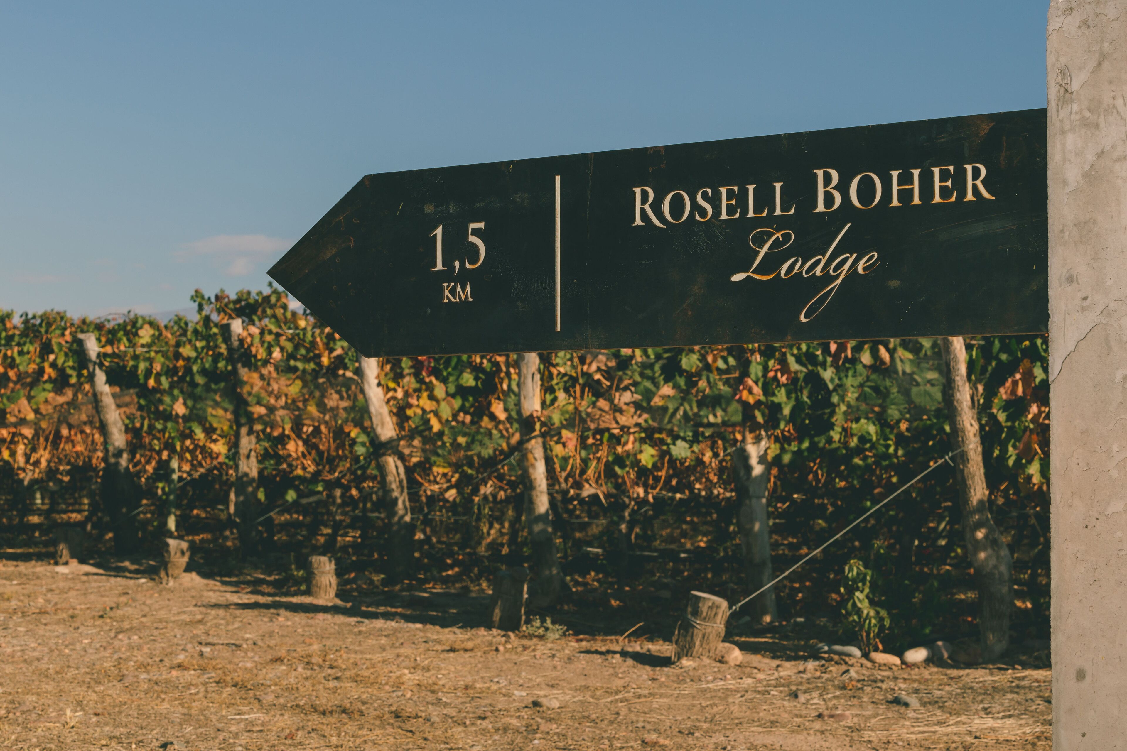 Rosell Boher Lodge