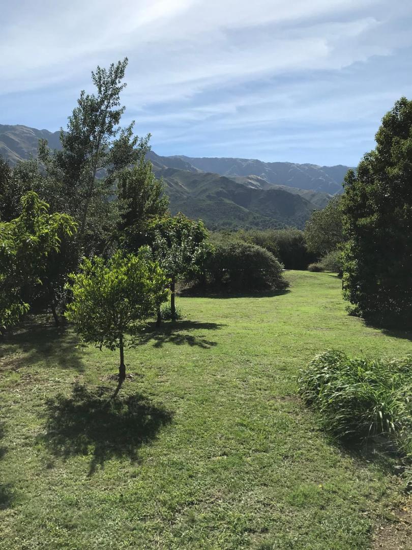 Zolara Di Merlo
