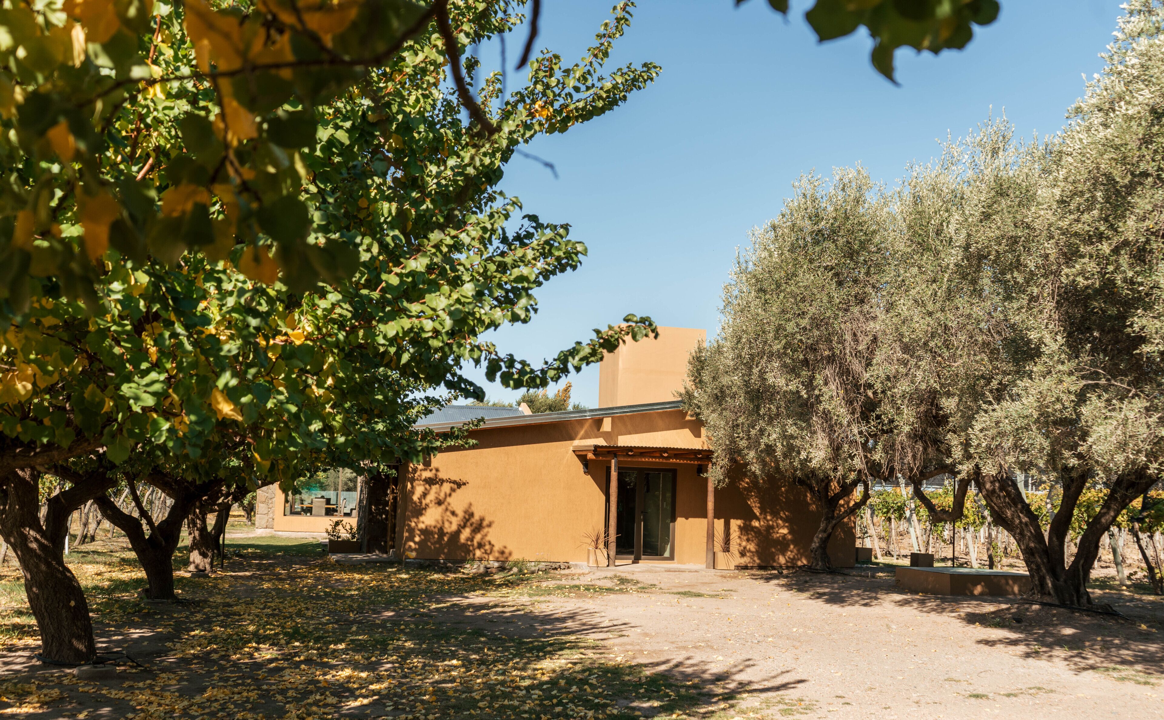 Posada Bonarda