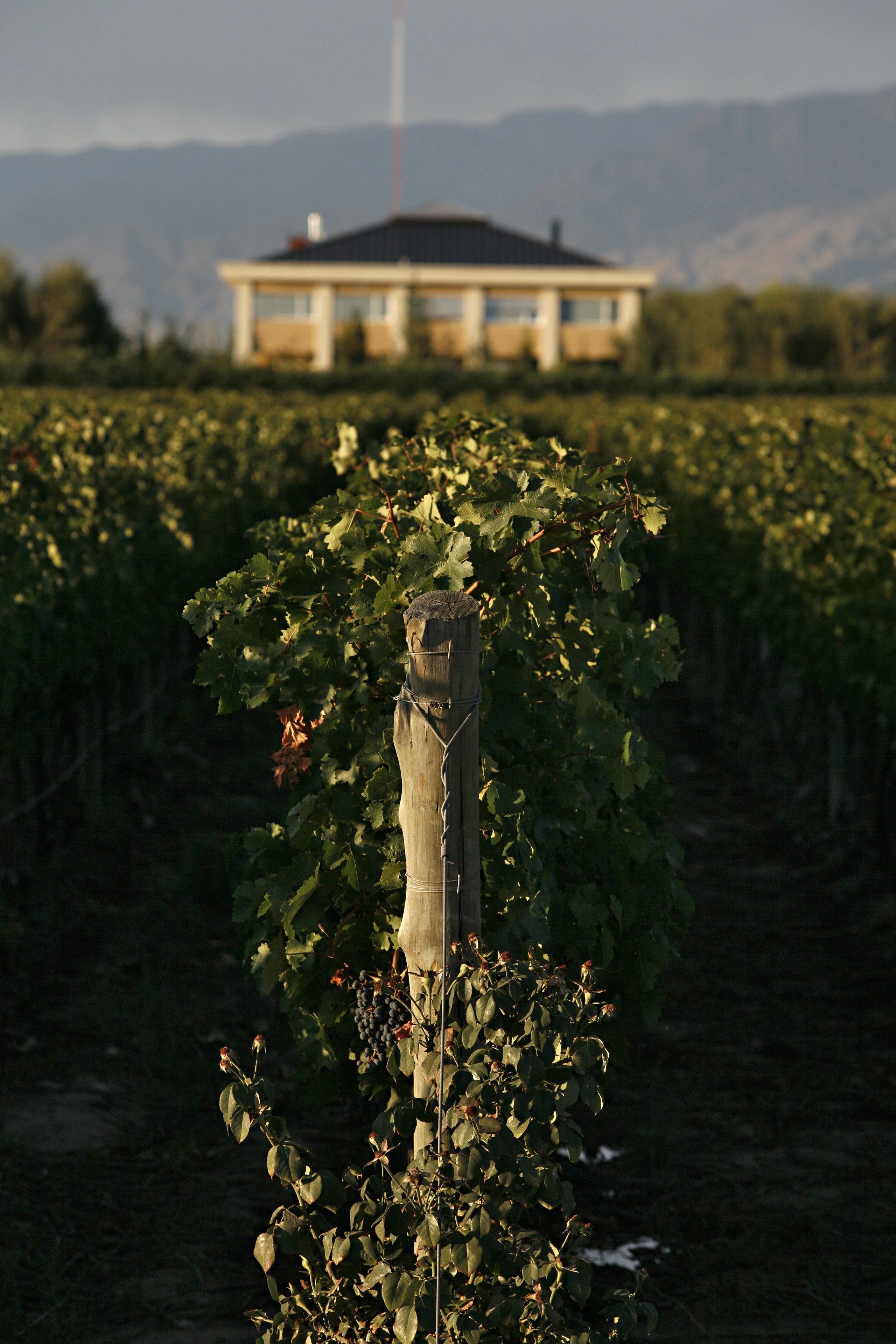 Estancia Mendoza Wine Hotel