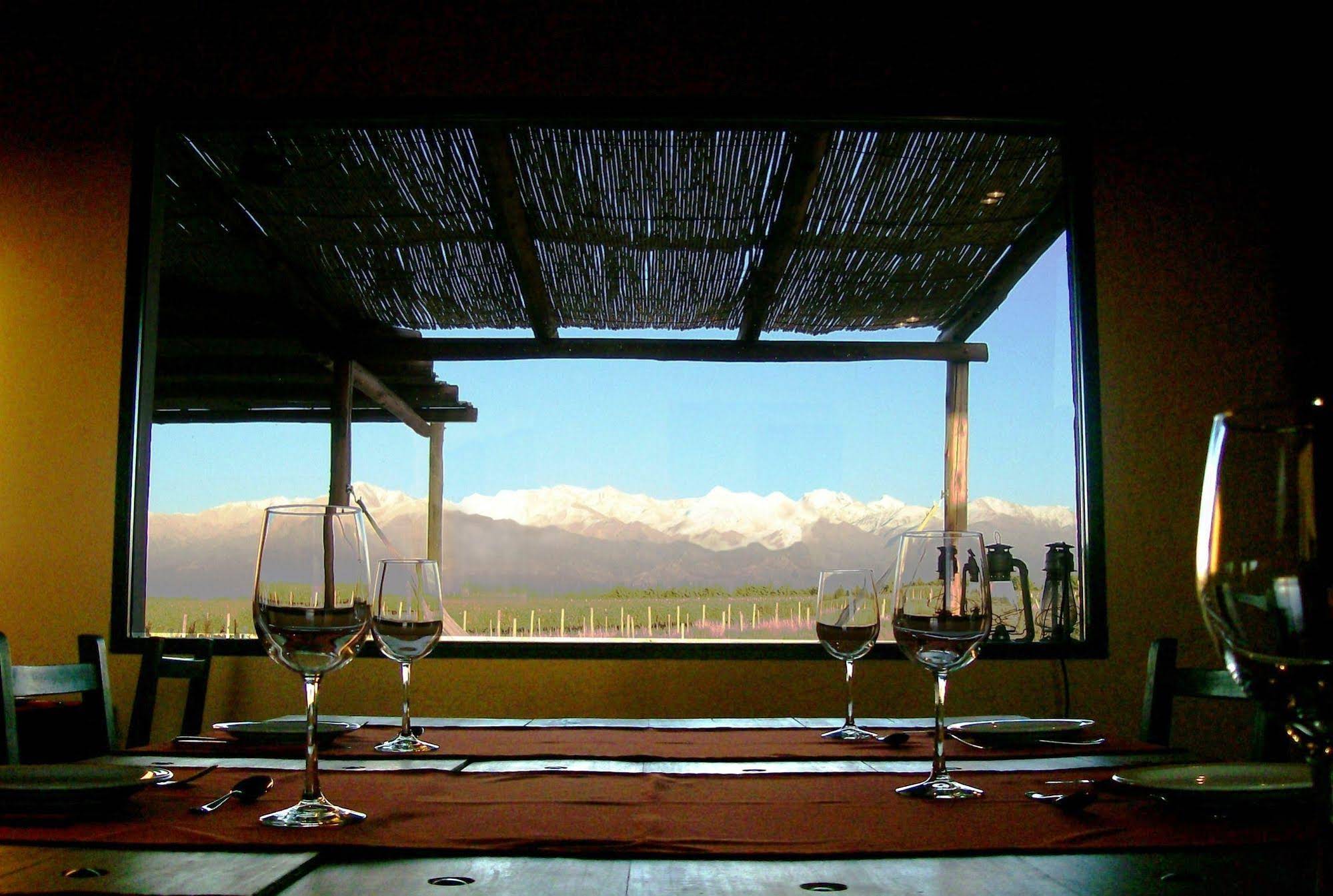 Tupungato Divino