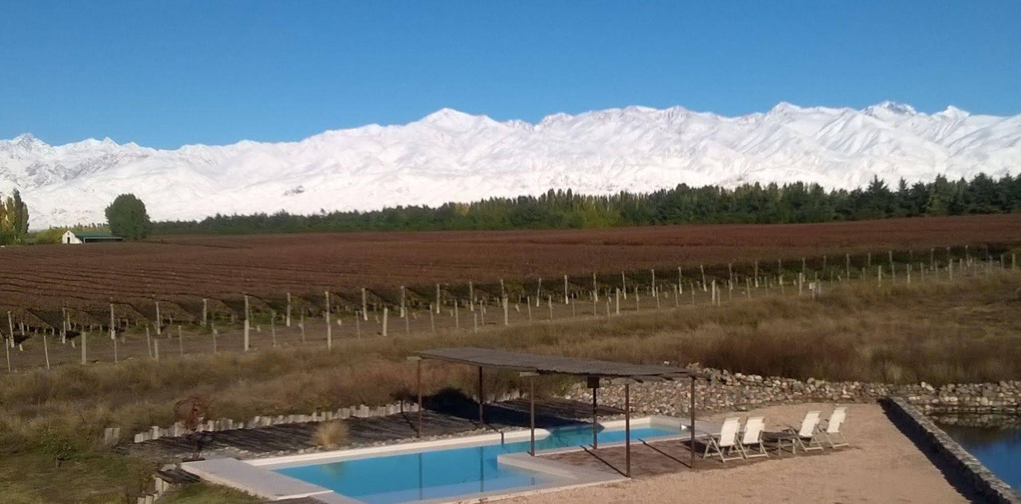 Tupungato Divino