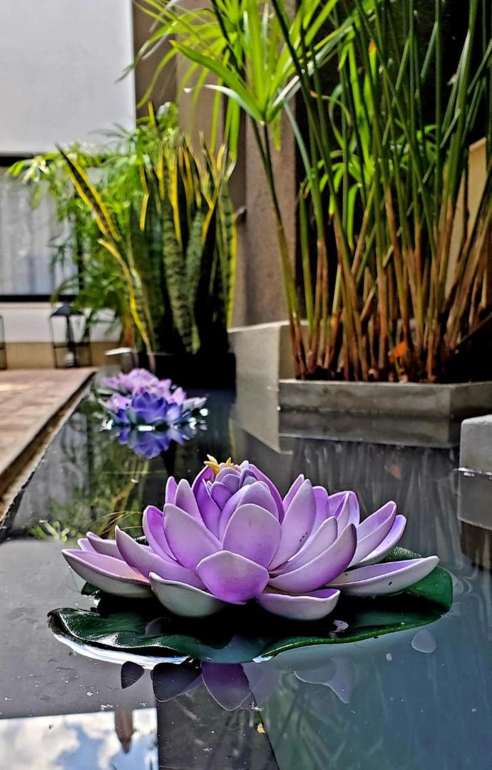 MG Design Hotel Boutique