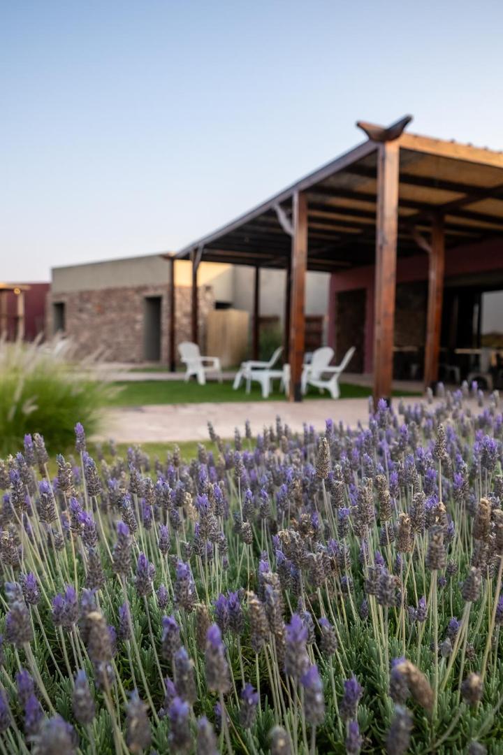 Castillos de Cafayate