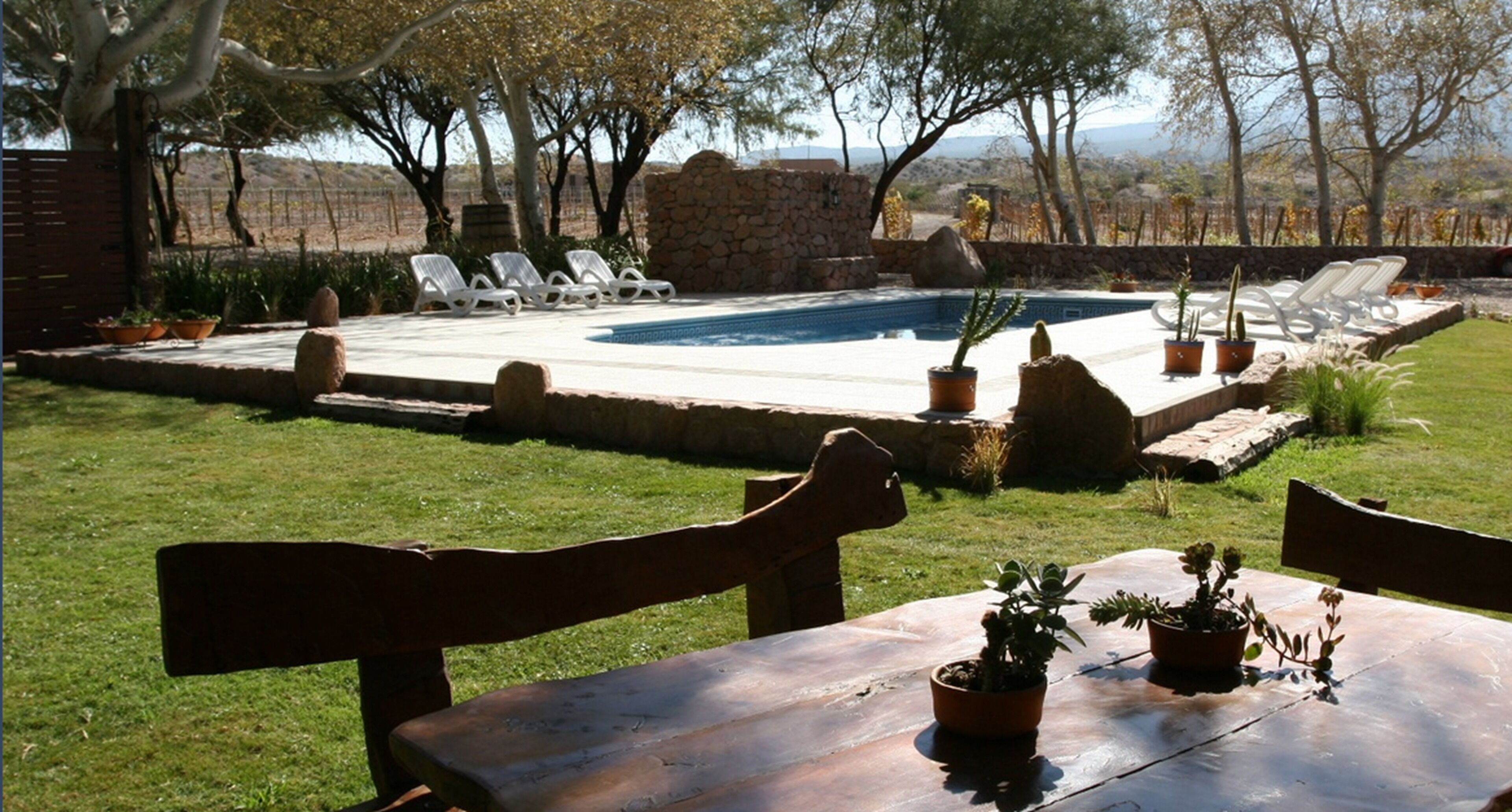 La Casa de la Bodega - Wine Boutique