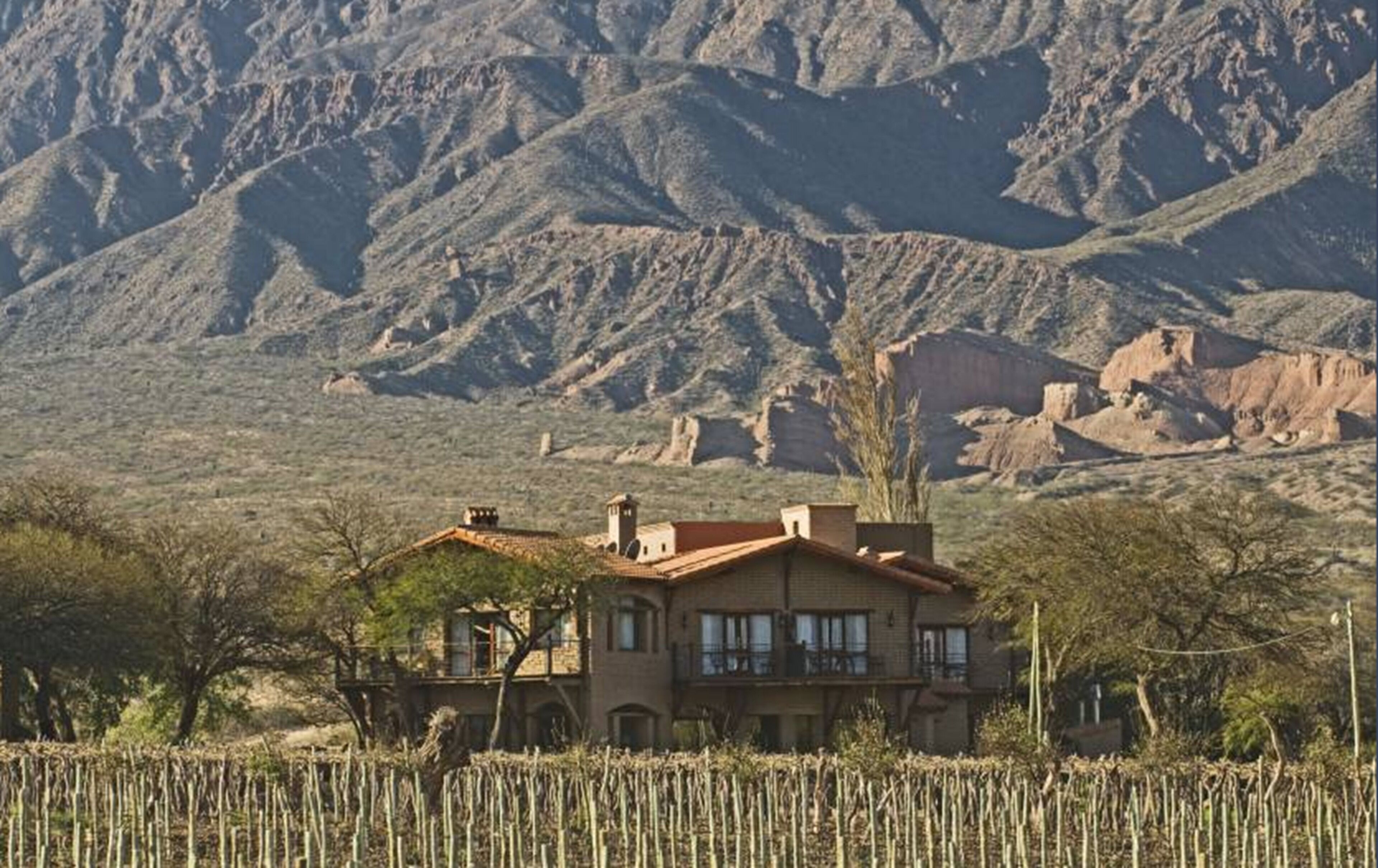 La Casa de la Bodega - Wine Boutique