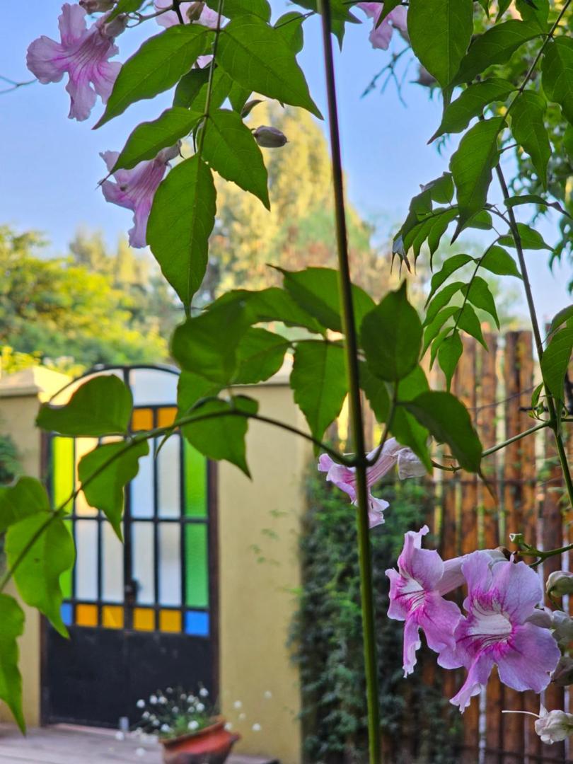 Posada del Santo Green & Rest