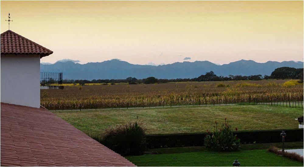 Finca Las Margaritas