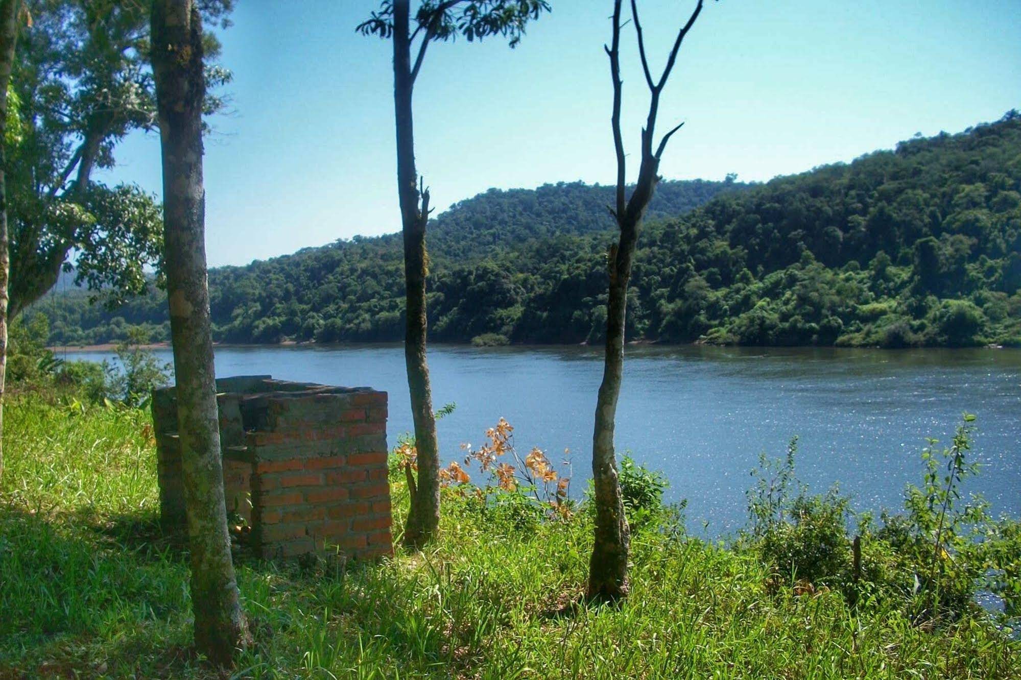 Mocona Guazu