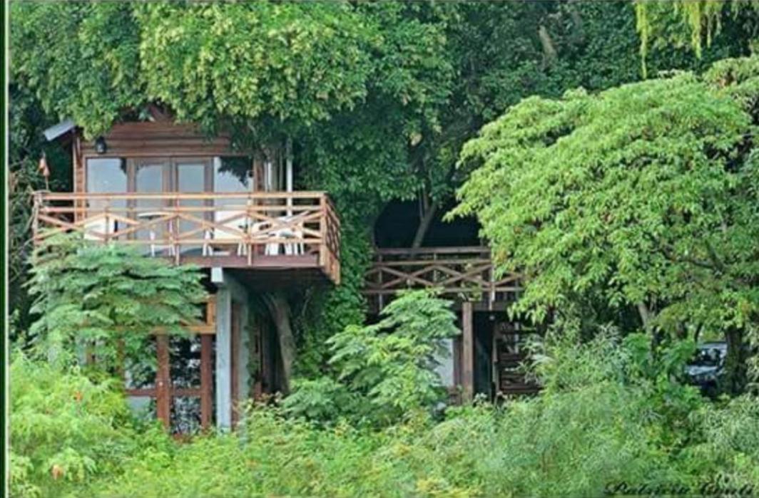 El Montecito