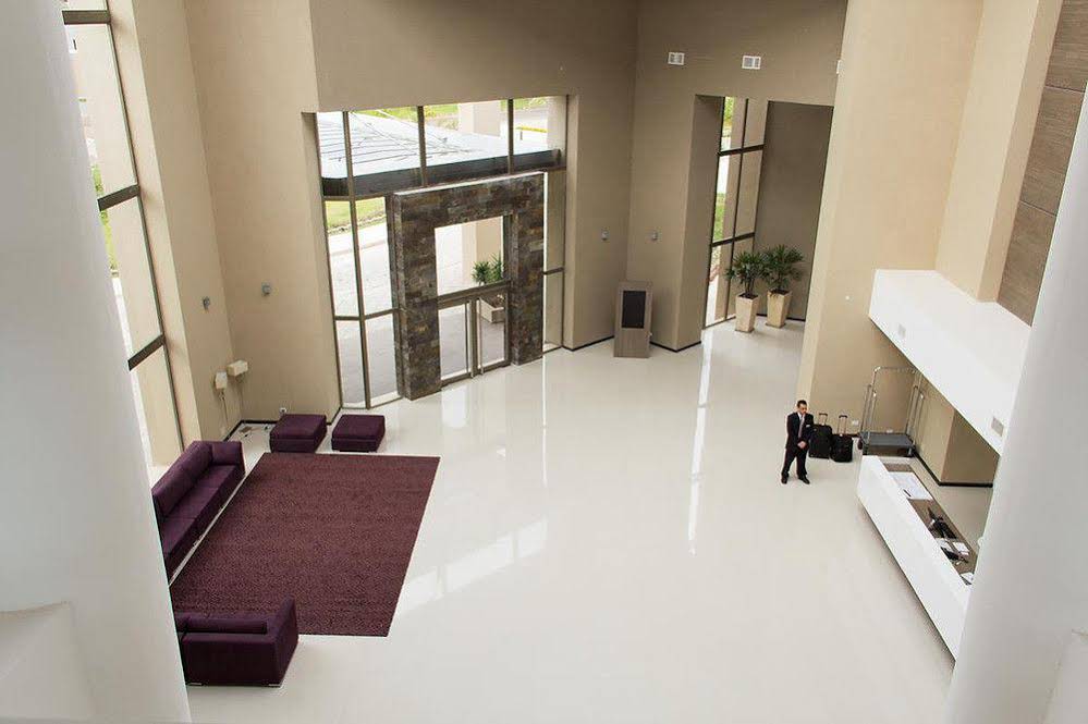 Arena Resort