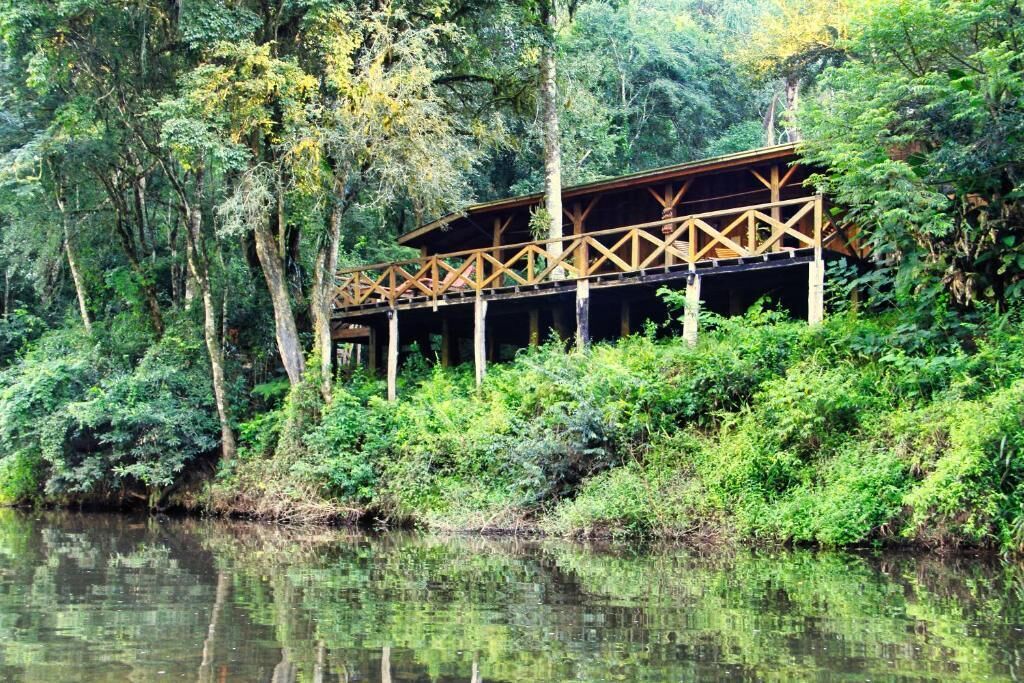 Margay - Reserva Natural & Lodge De Selva