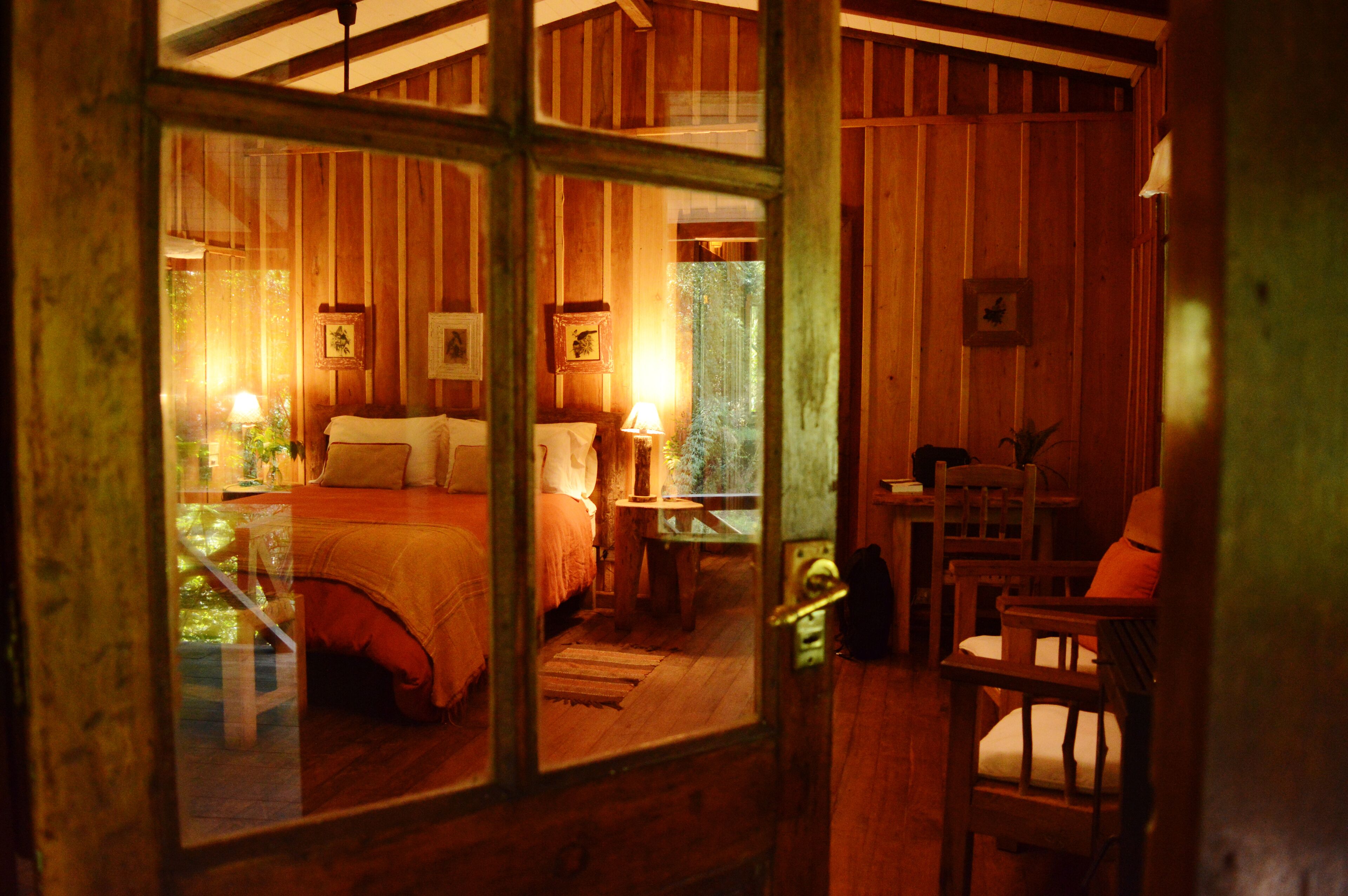 Margay - Reserva Natural & Lodge De Selva