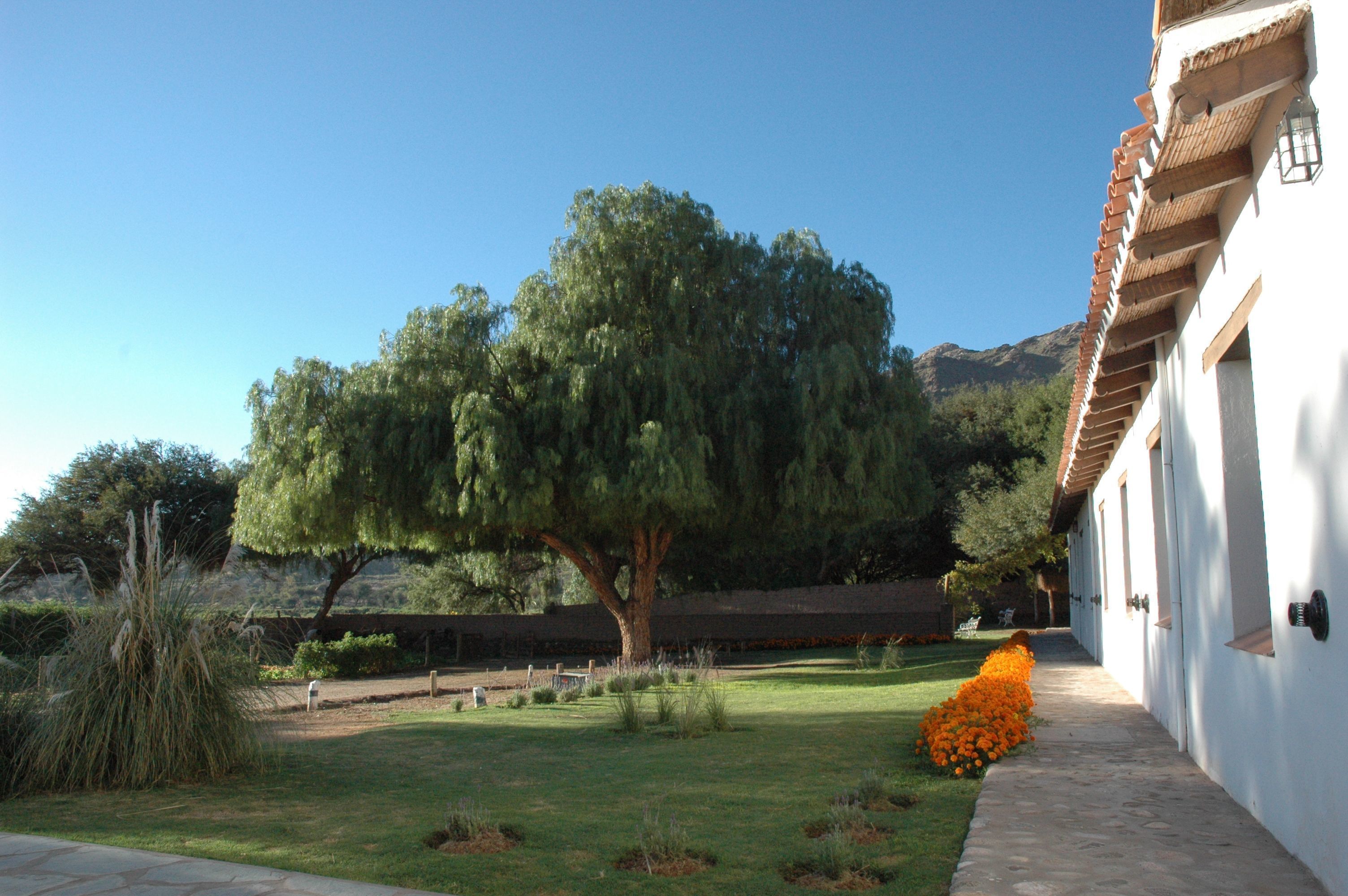 Hacienda Los Molinos