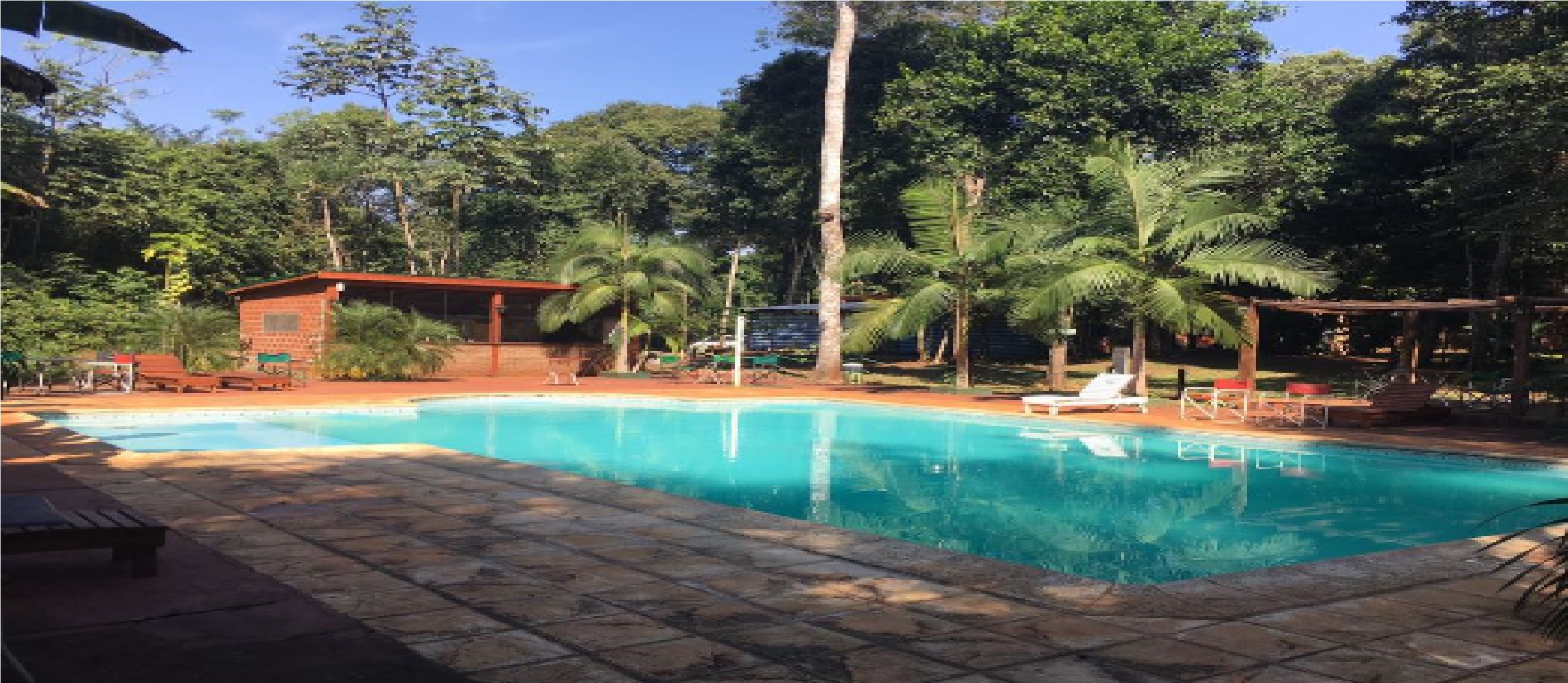 Don Horacio Hotel Selvatico