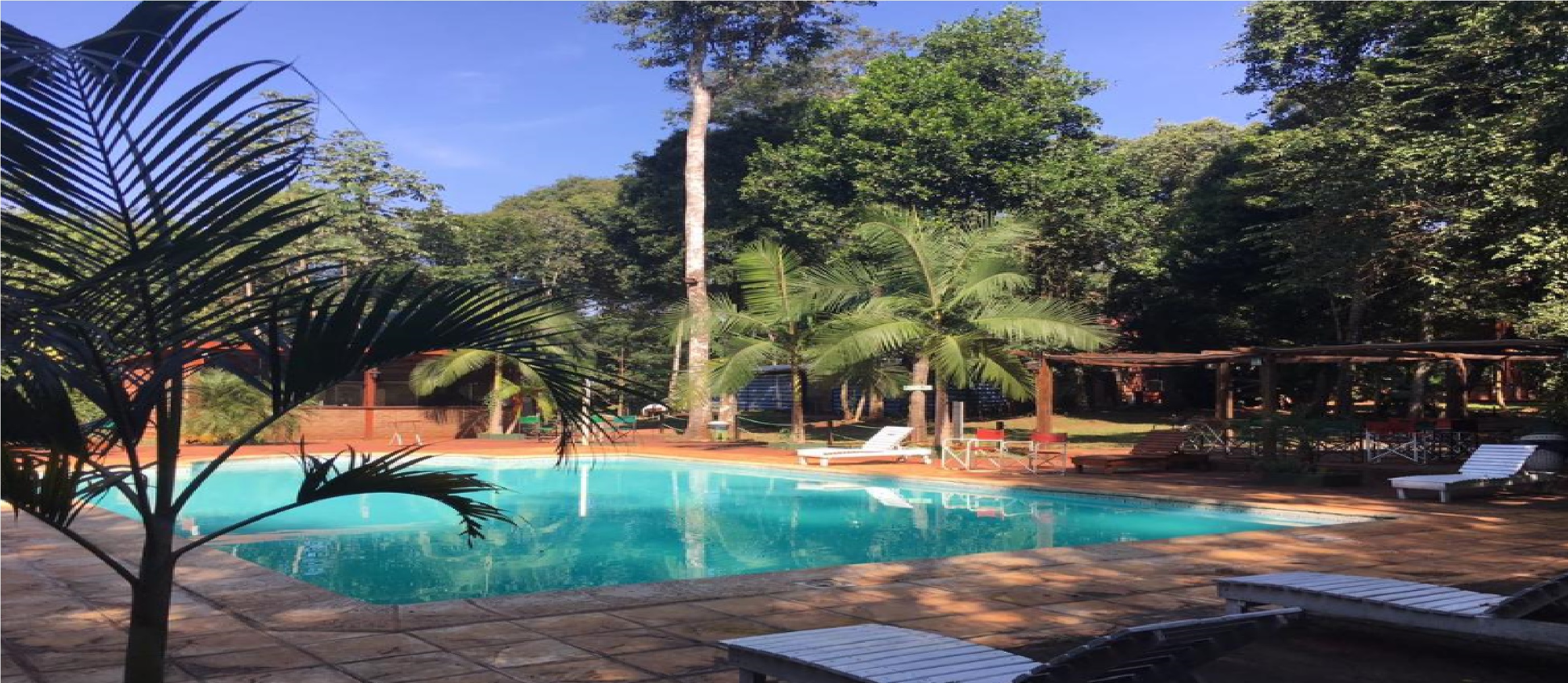 Don Horacio Hotel Selvatico
