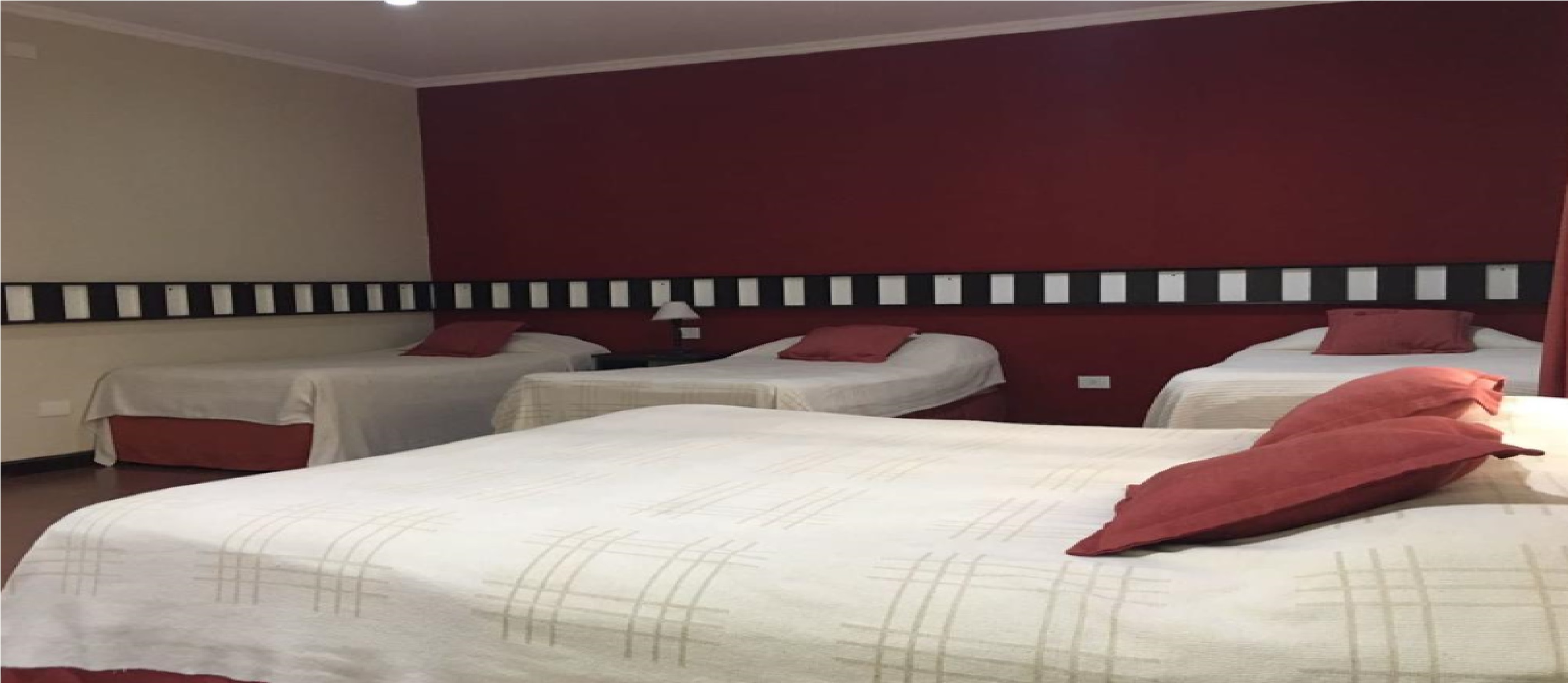 Don Horacio Hotel Selvatico