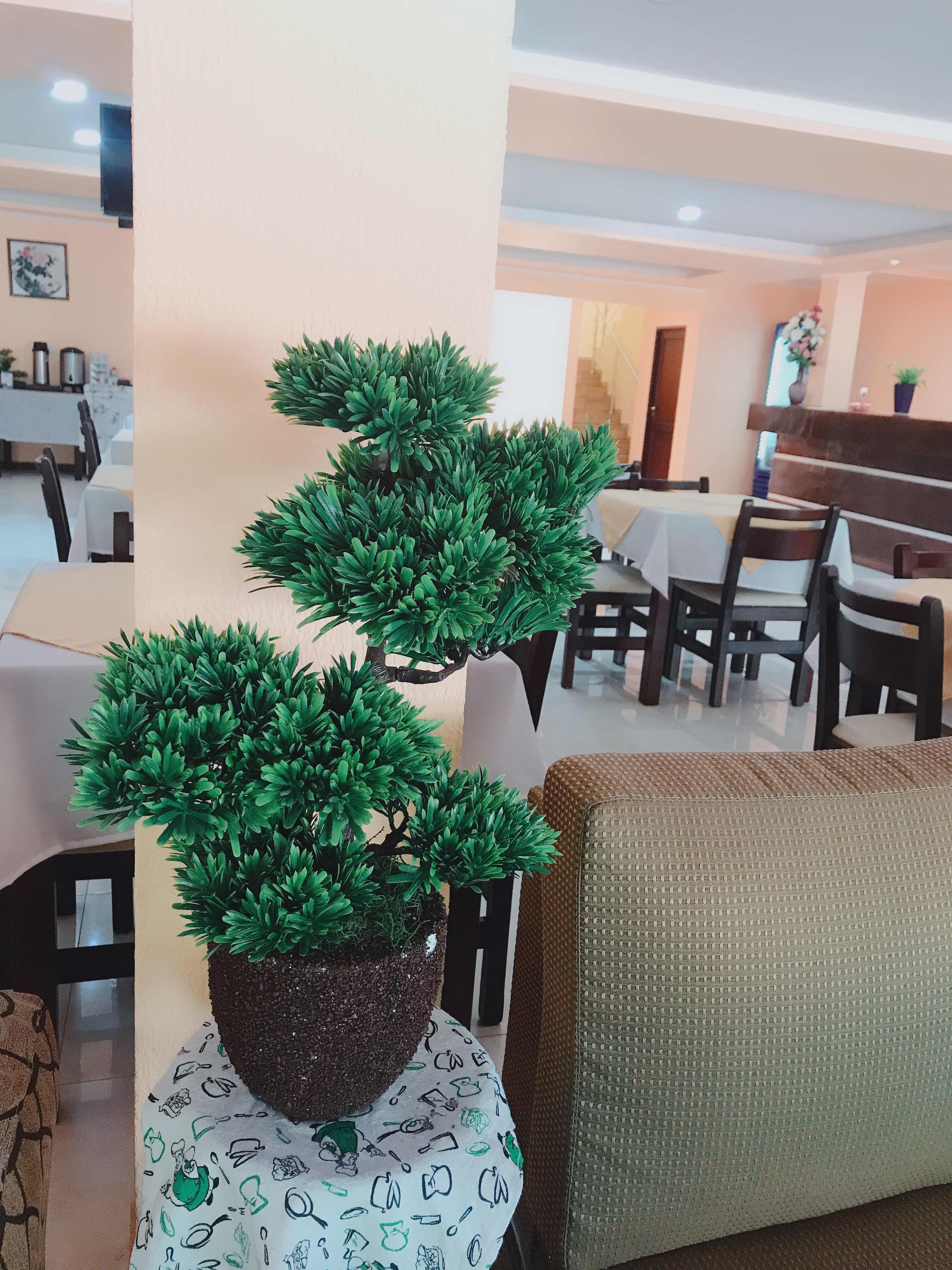 Hotel Amayal