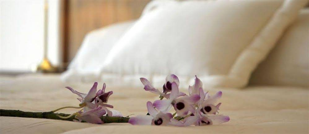 Orquideas Hotel & Cabanas