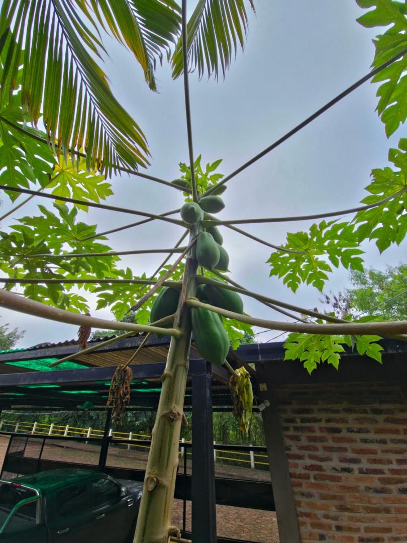 Terra Iguazú Cabañas