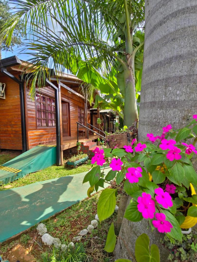 Terra Iguazú Cabañas