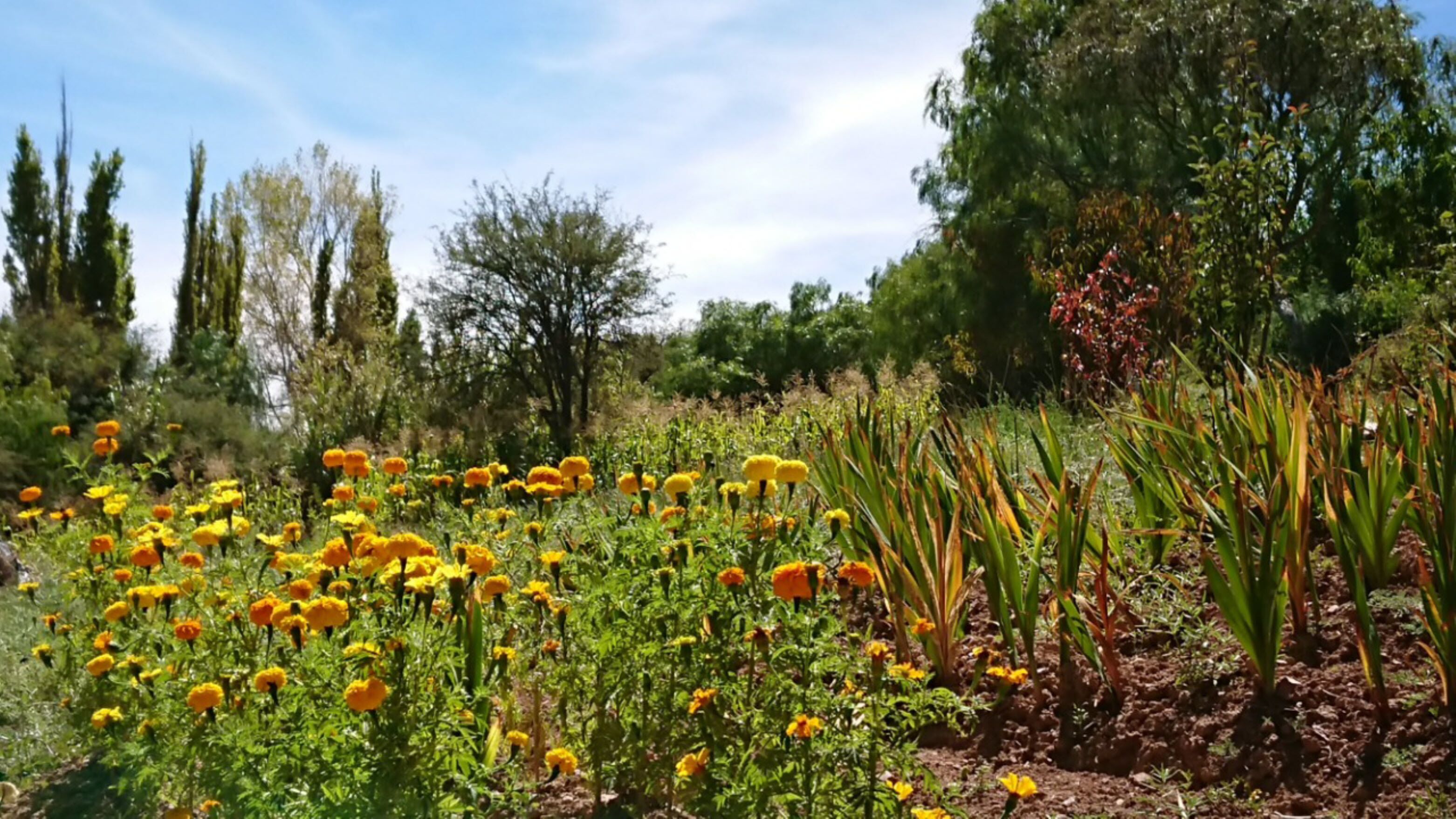 La Quinta De Maria Tilcara