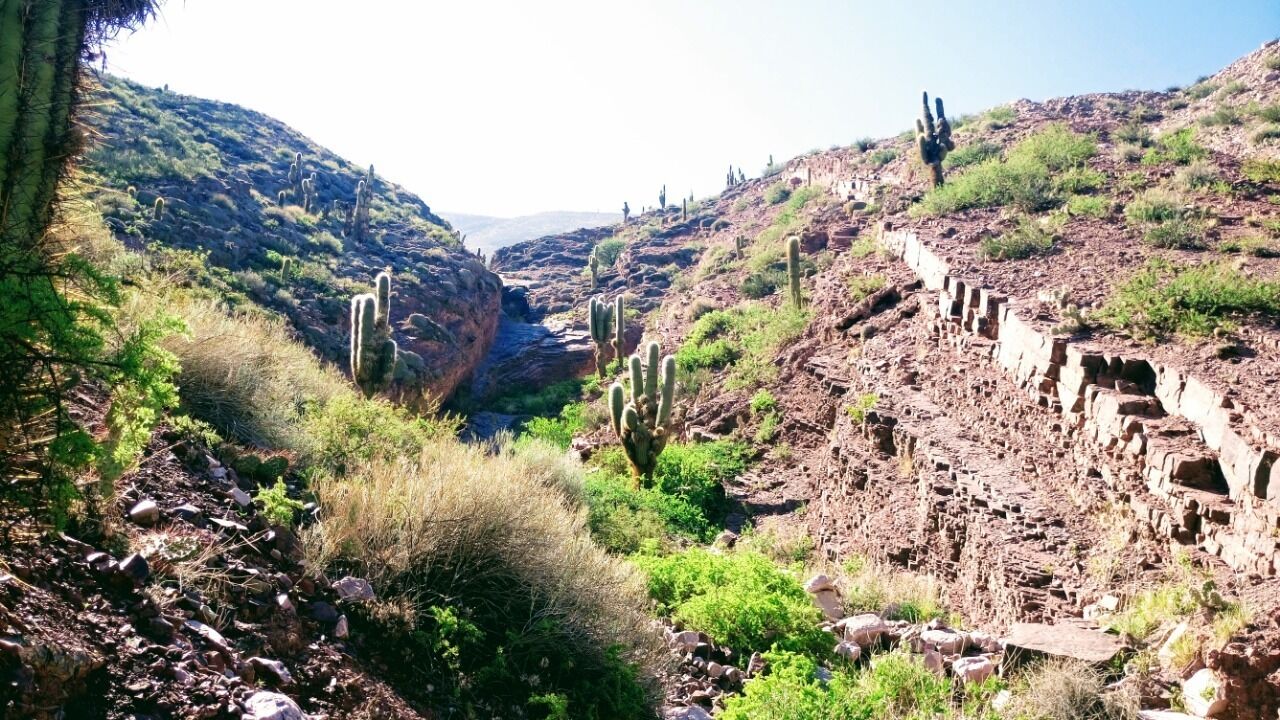 La Quinta De Maria Tilcara