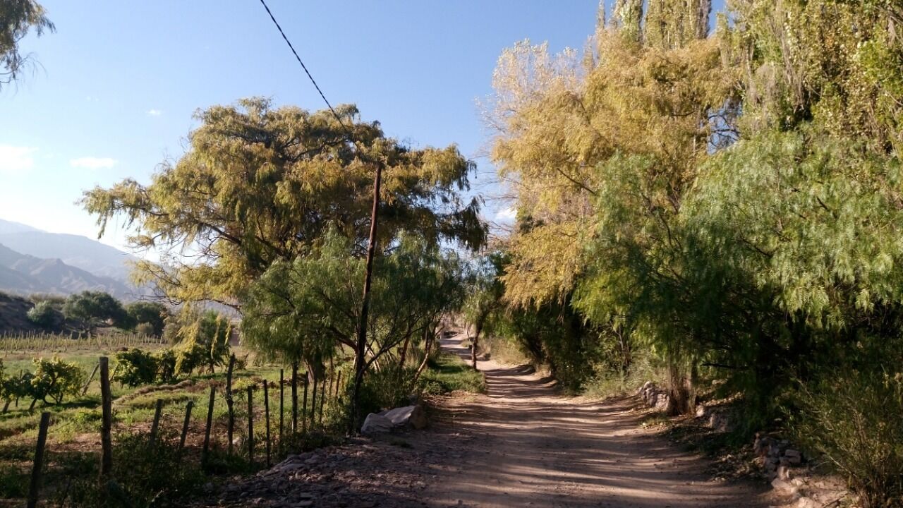 La Quinta De Maria Tilcara