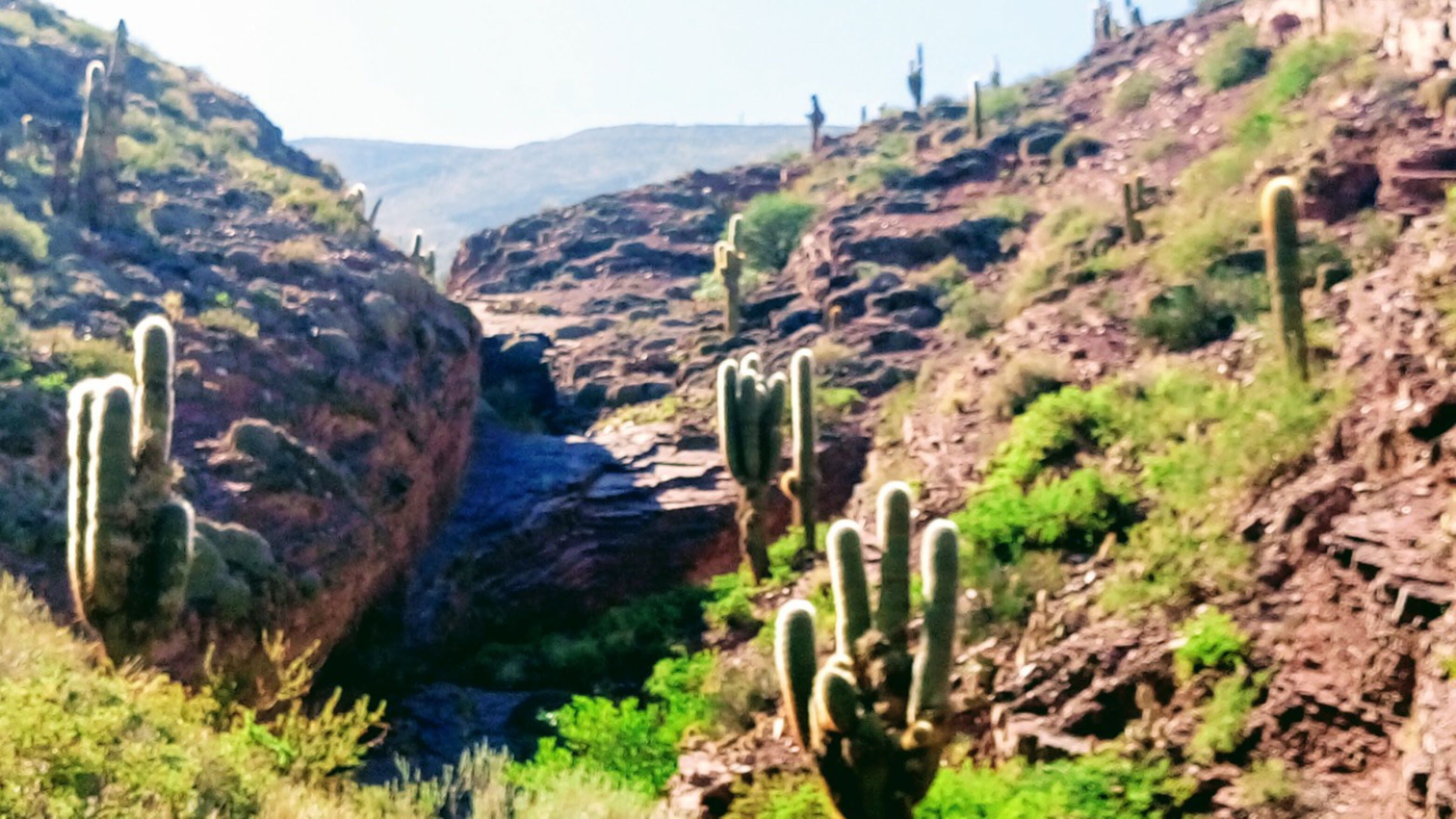 La Quinta De Maria Tilcara