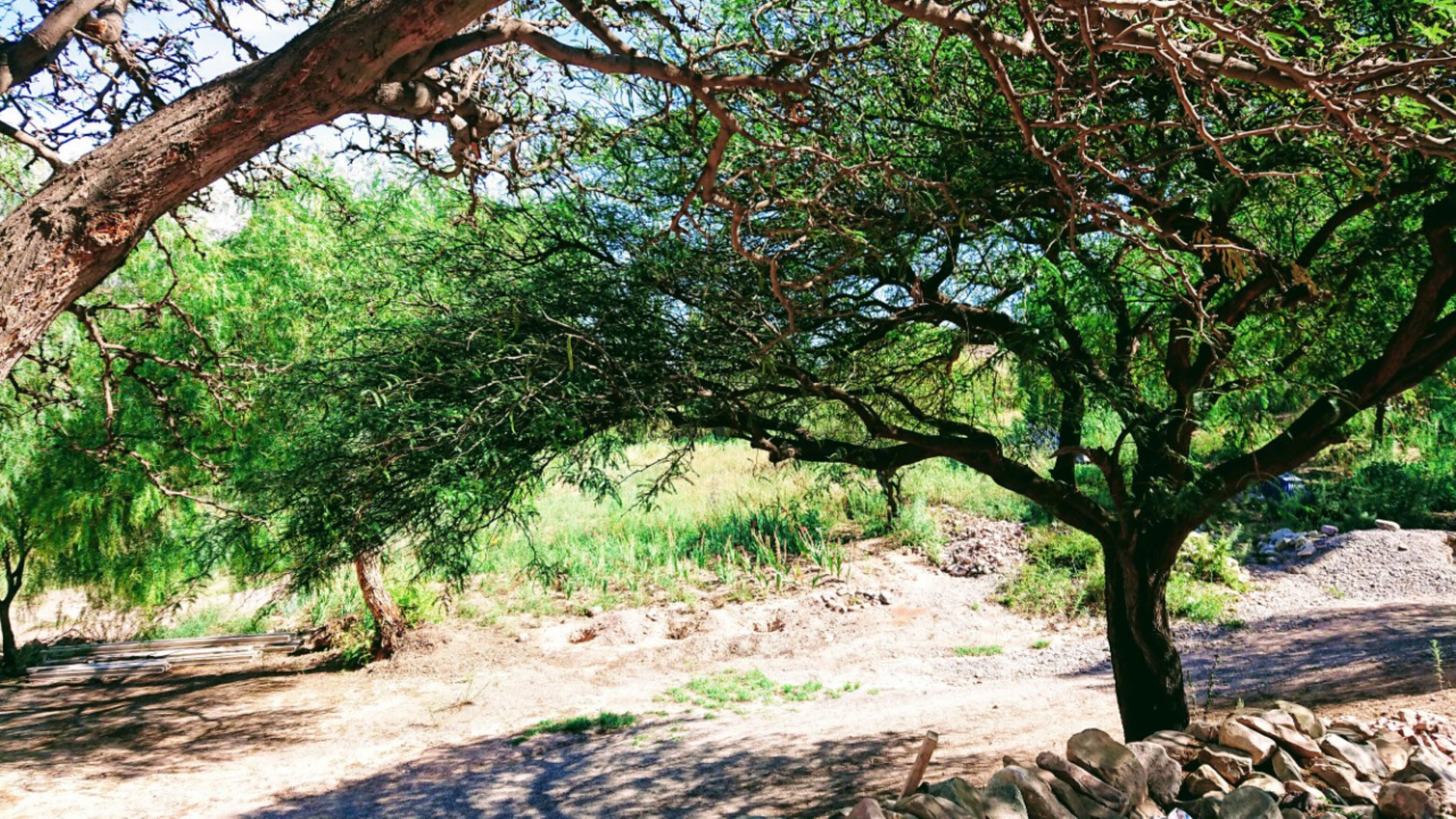 La Quinta De Maria Tilcara