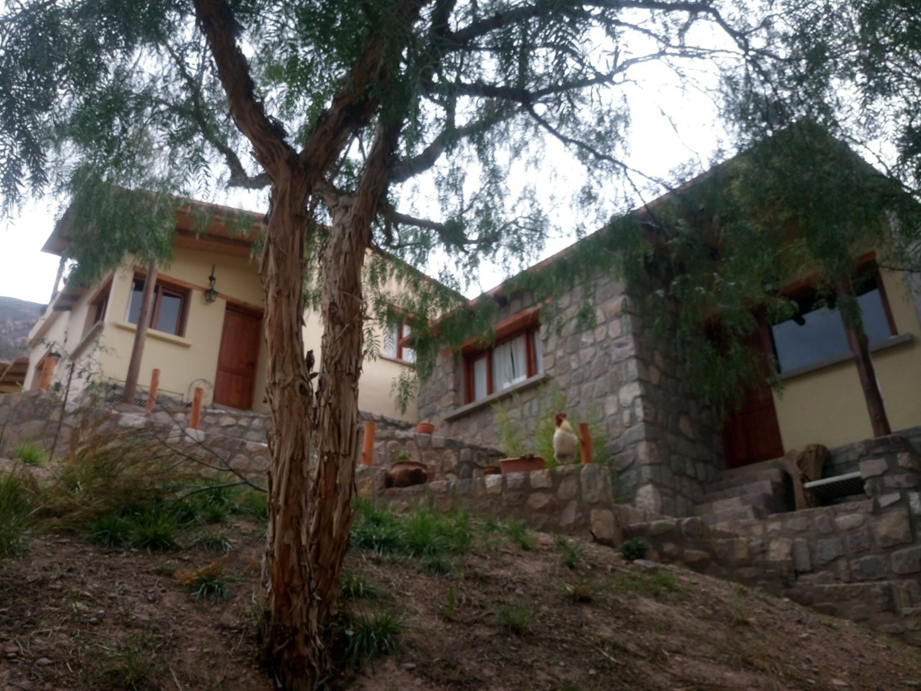 La Quinta De Maria Tilcara