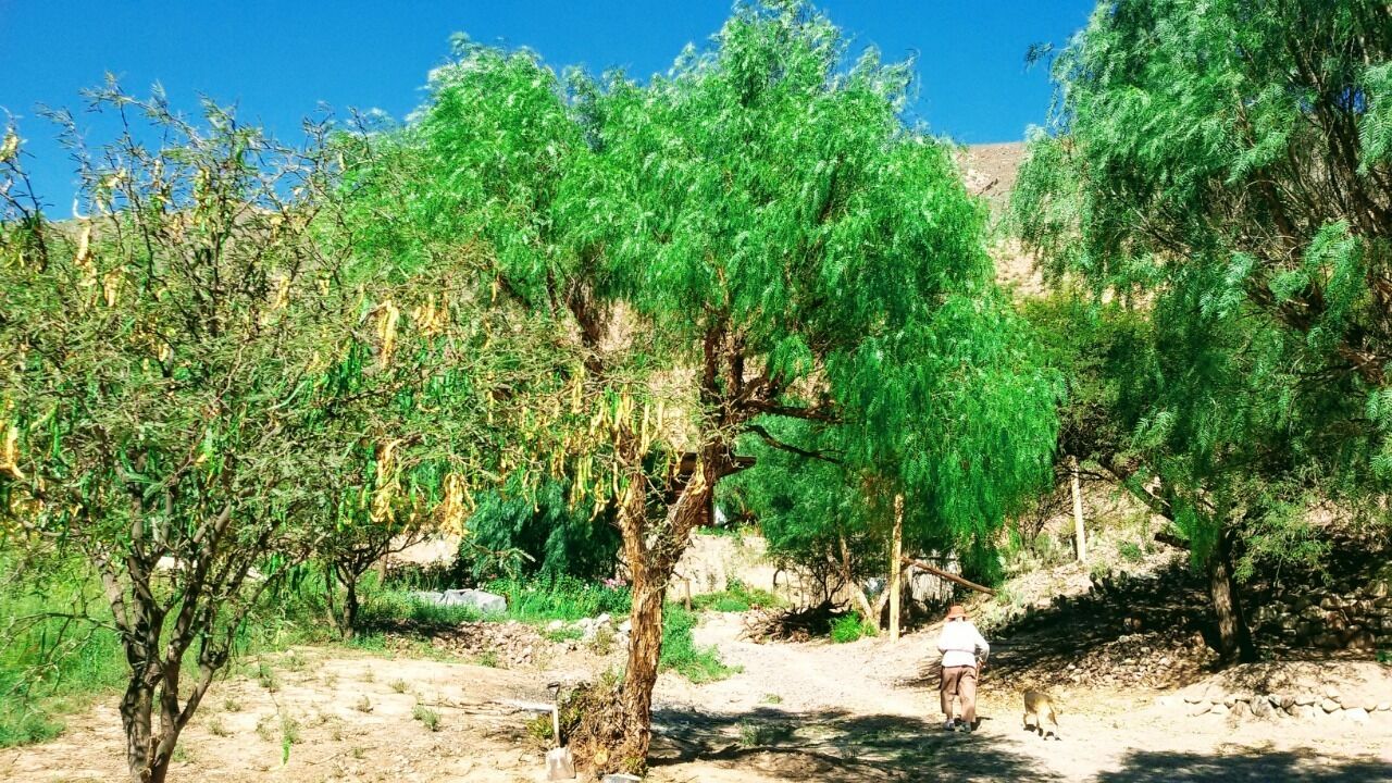 La Quinta De Maria Tilcara