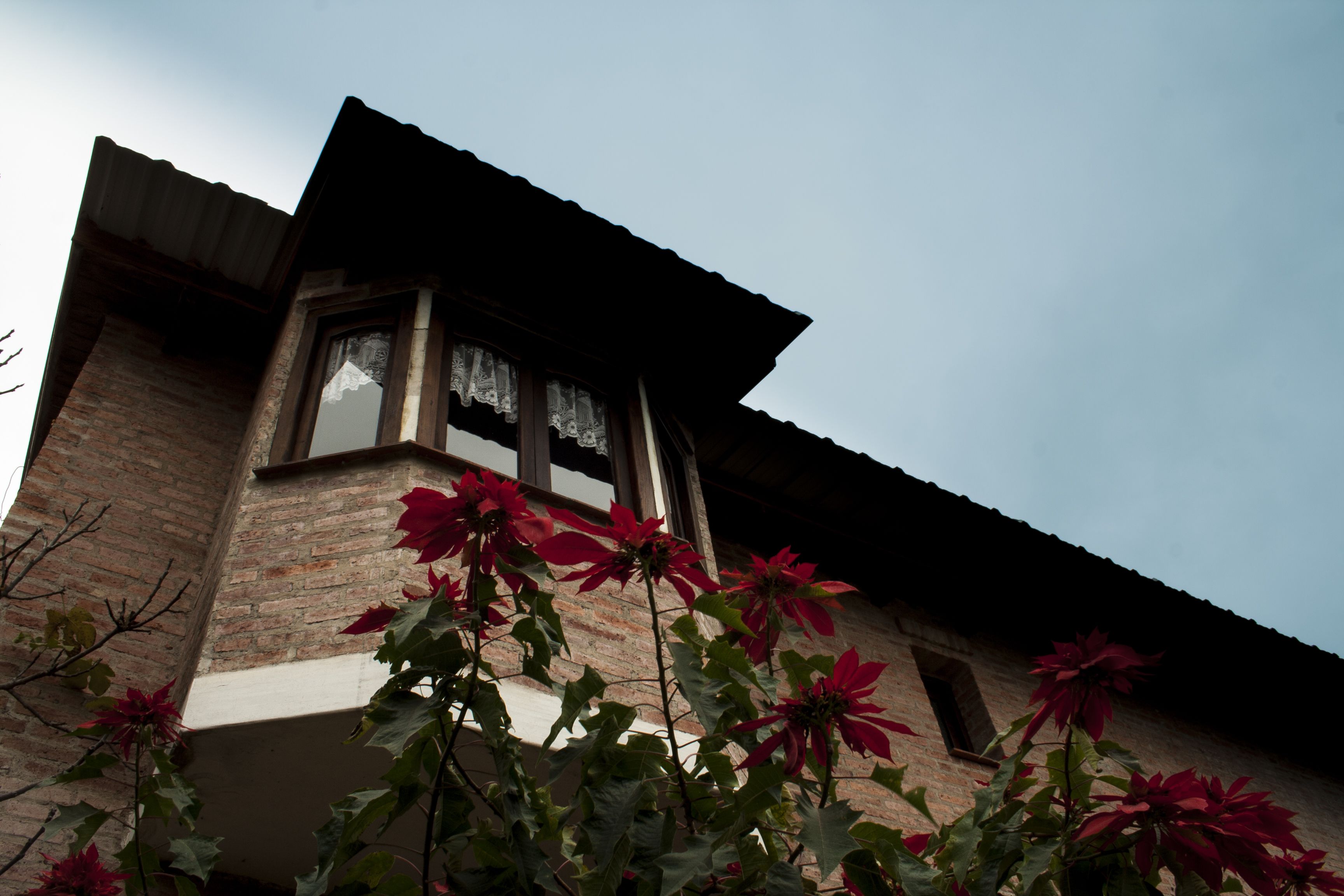 Ekeko House