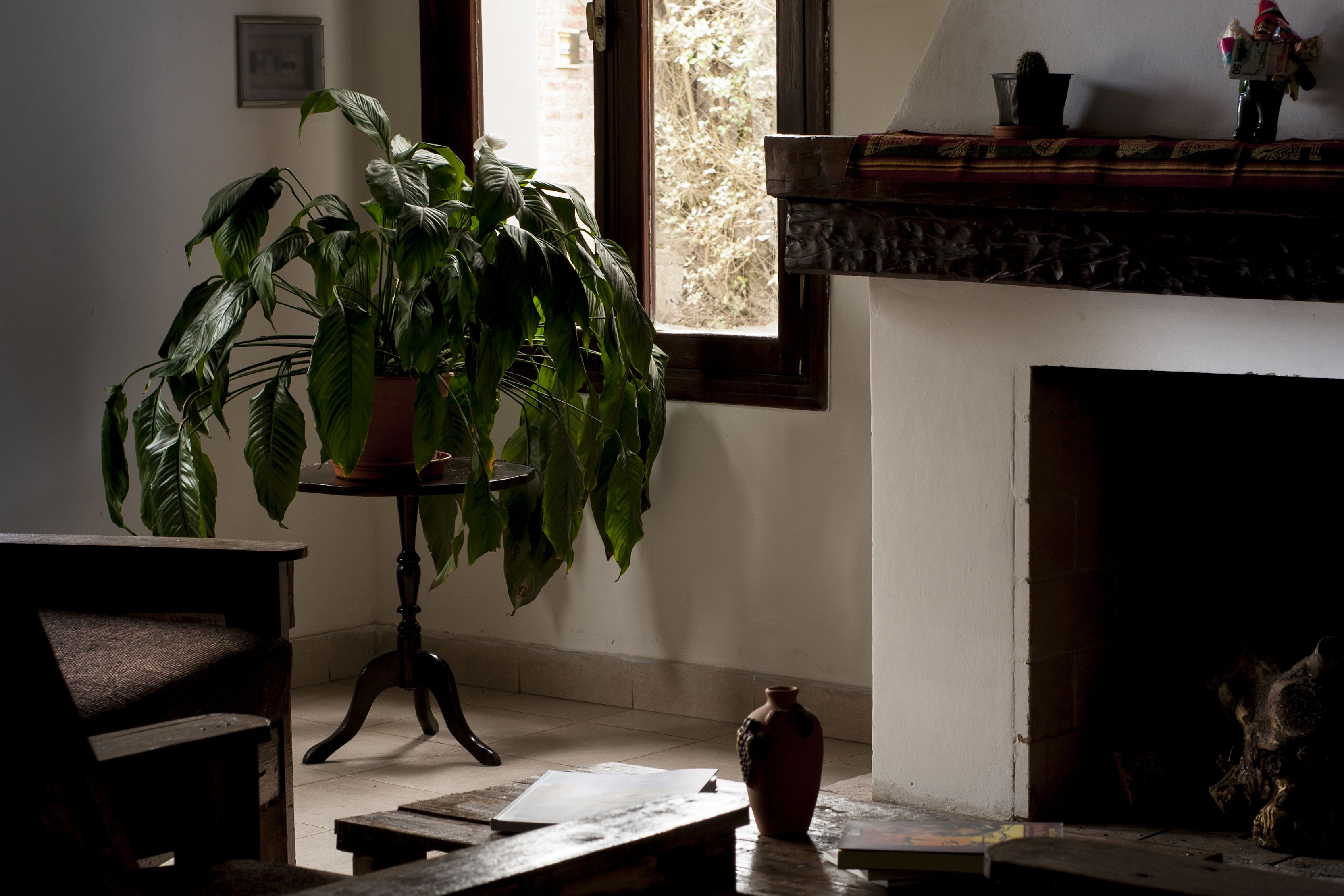 Ekeko House