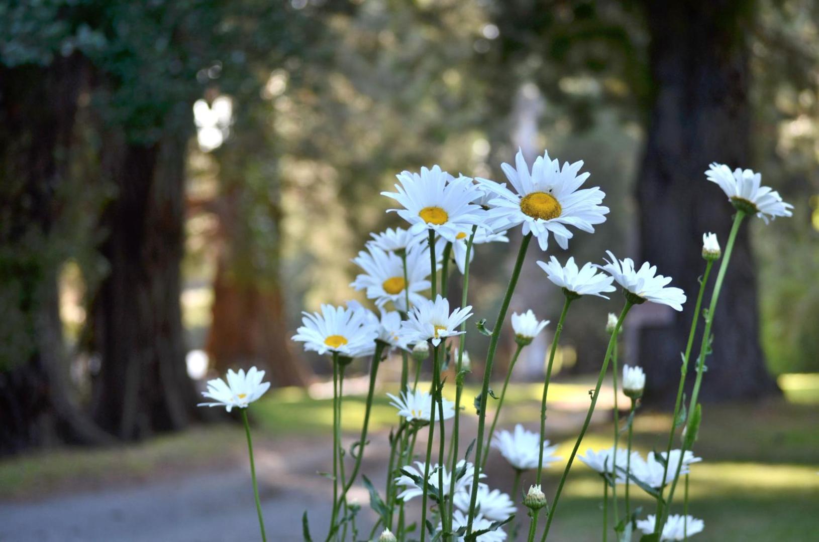 Cabanas Villa Labrador