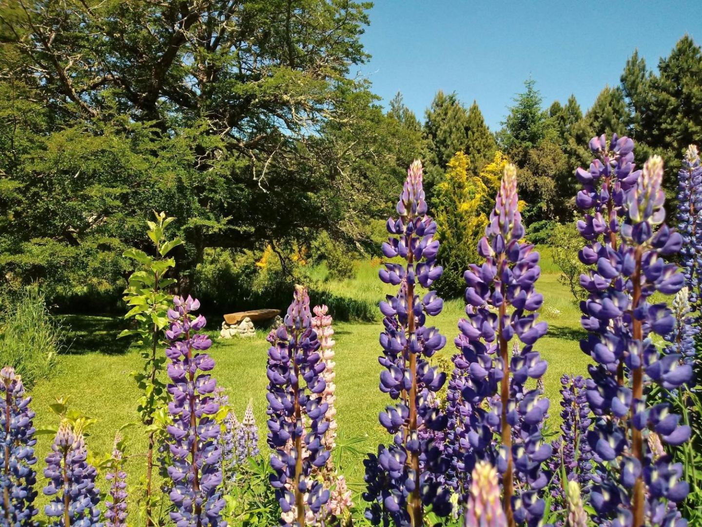 Cabanas Villa Labrador