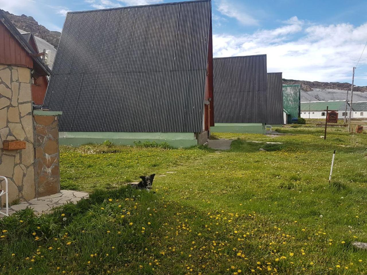 Cabanas Melipal Copahue