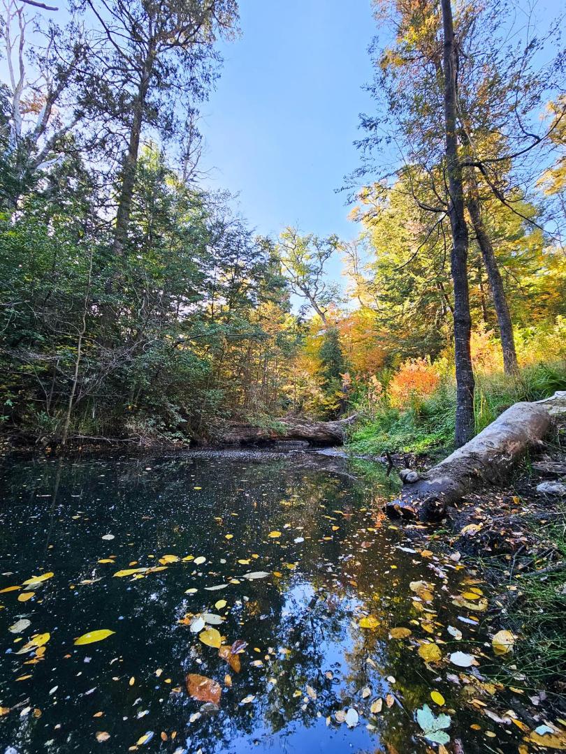 Rotui Luxury Village