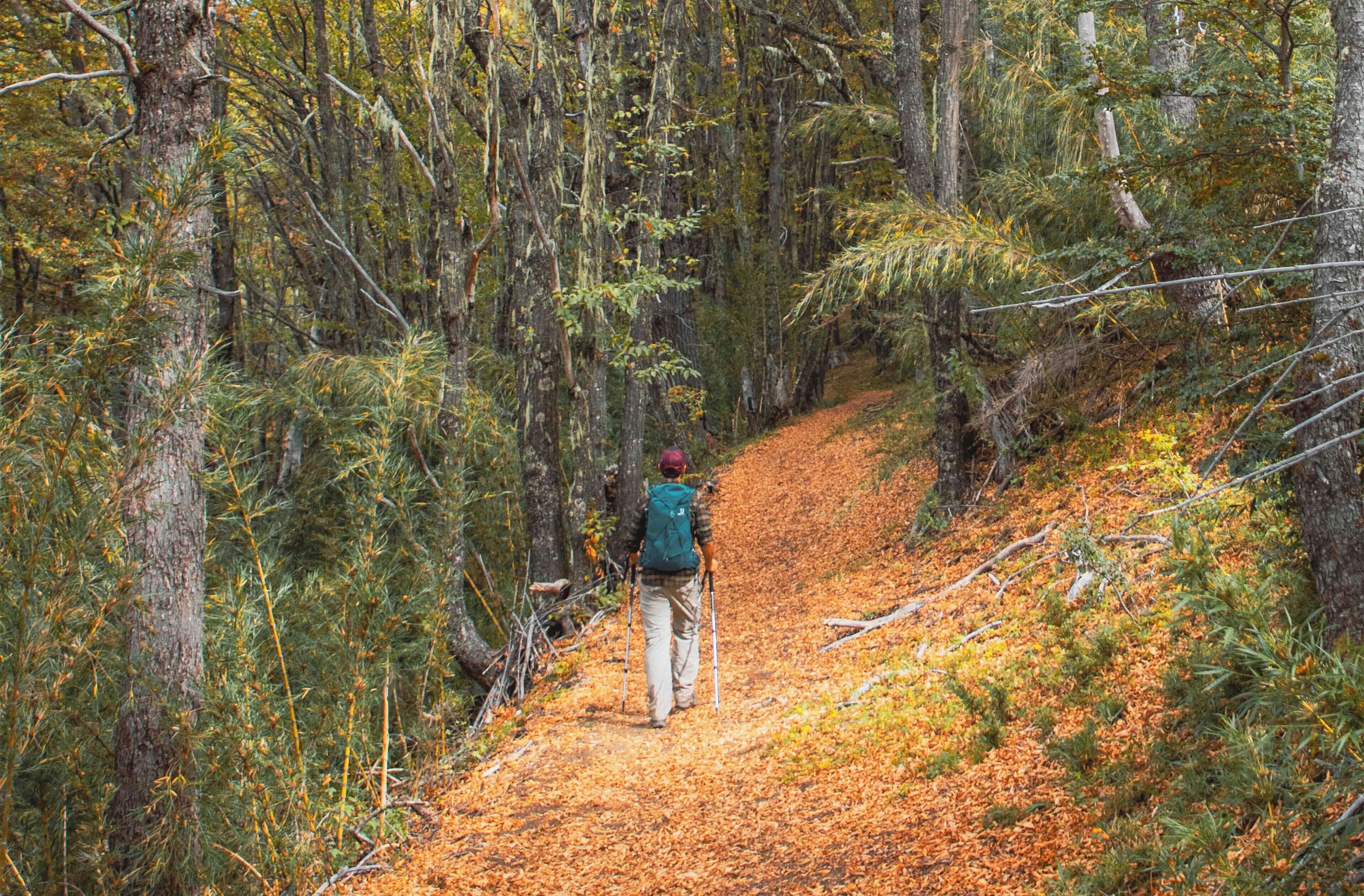 El Refugio Ski & Summer Lodge