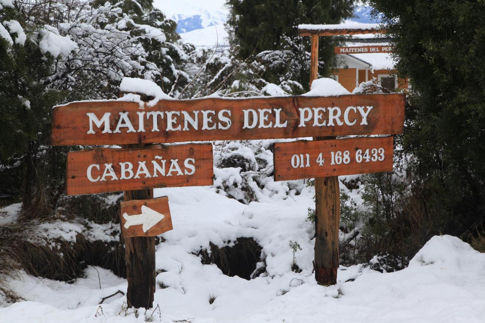 Maitenes Del Percy