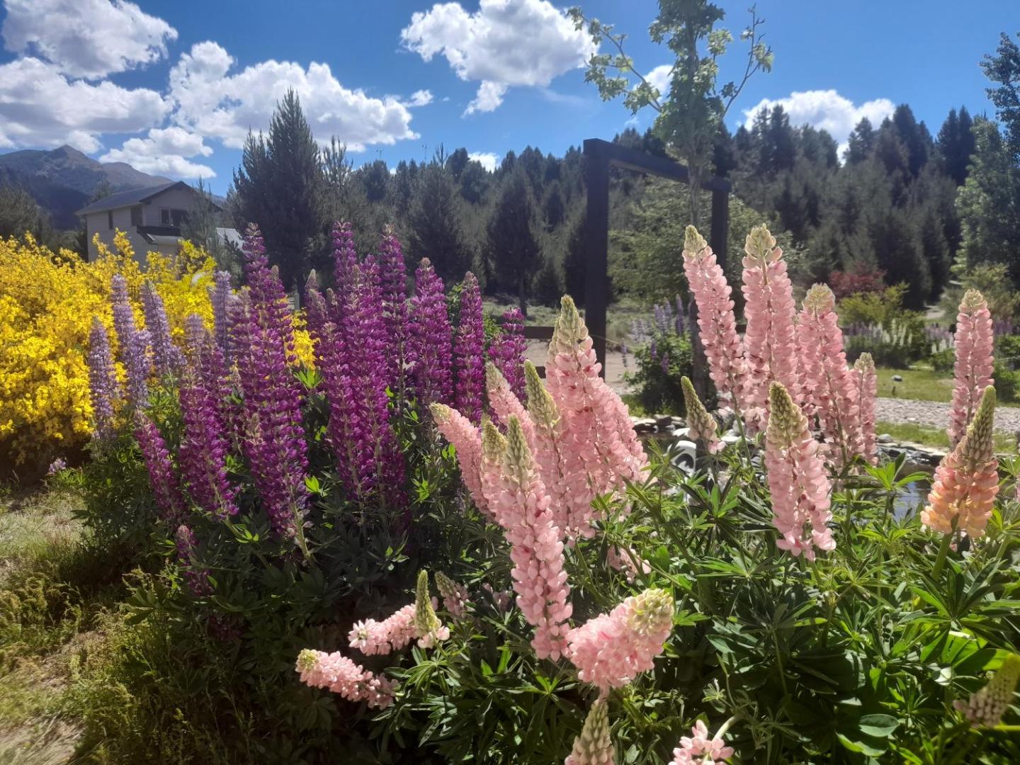 Cabanas Valle Encantado Meliquina