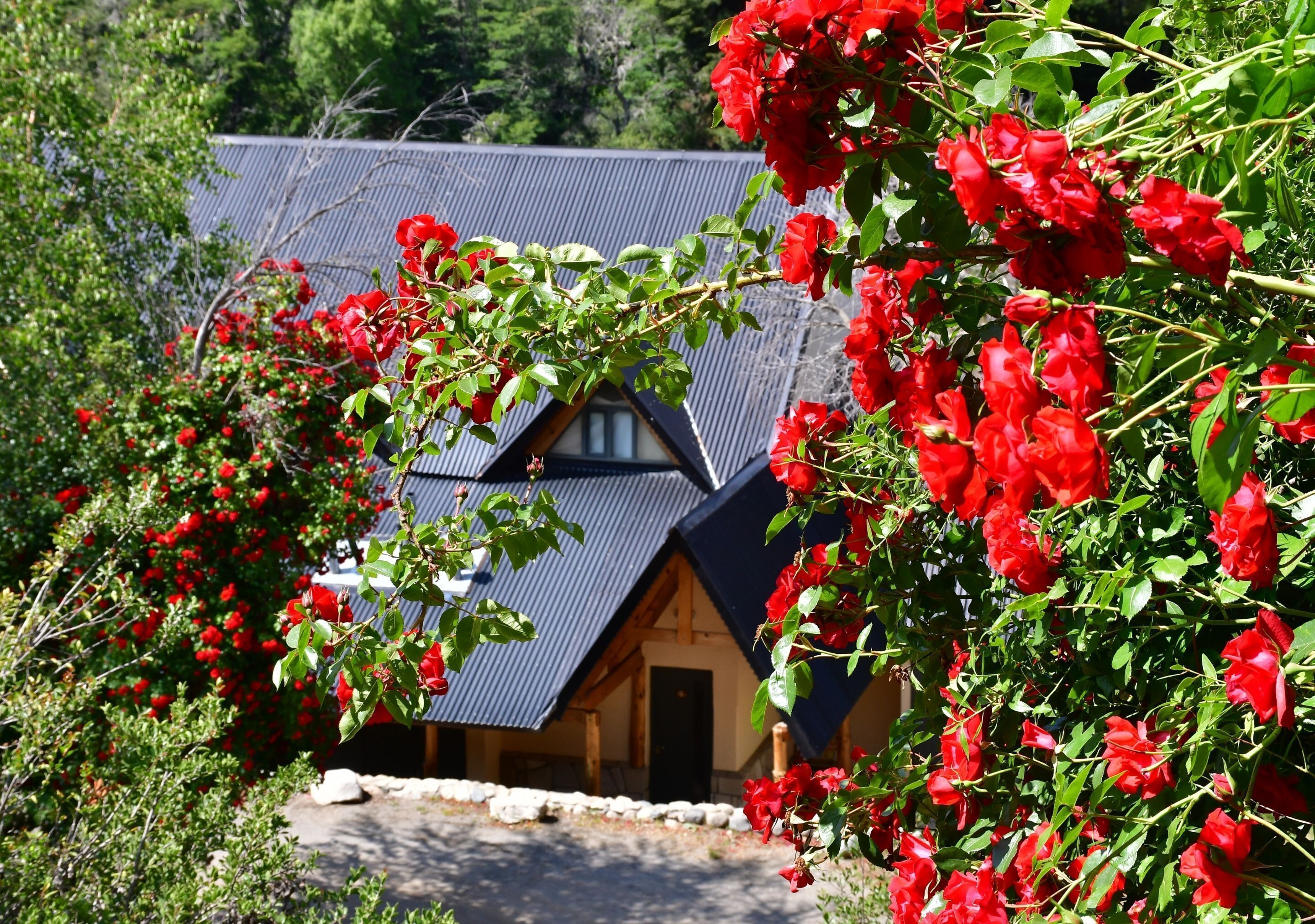 Aparts La Balconada by DOT Suites