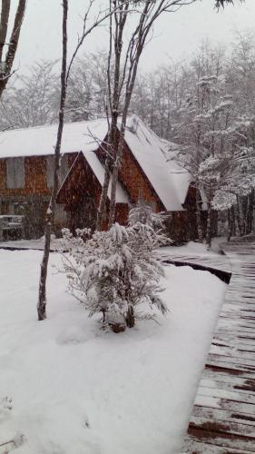 Cabanas Rio Andino
